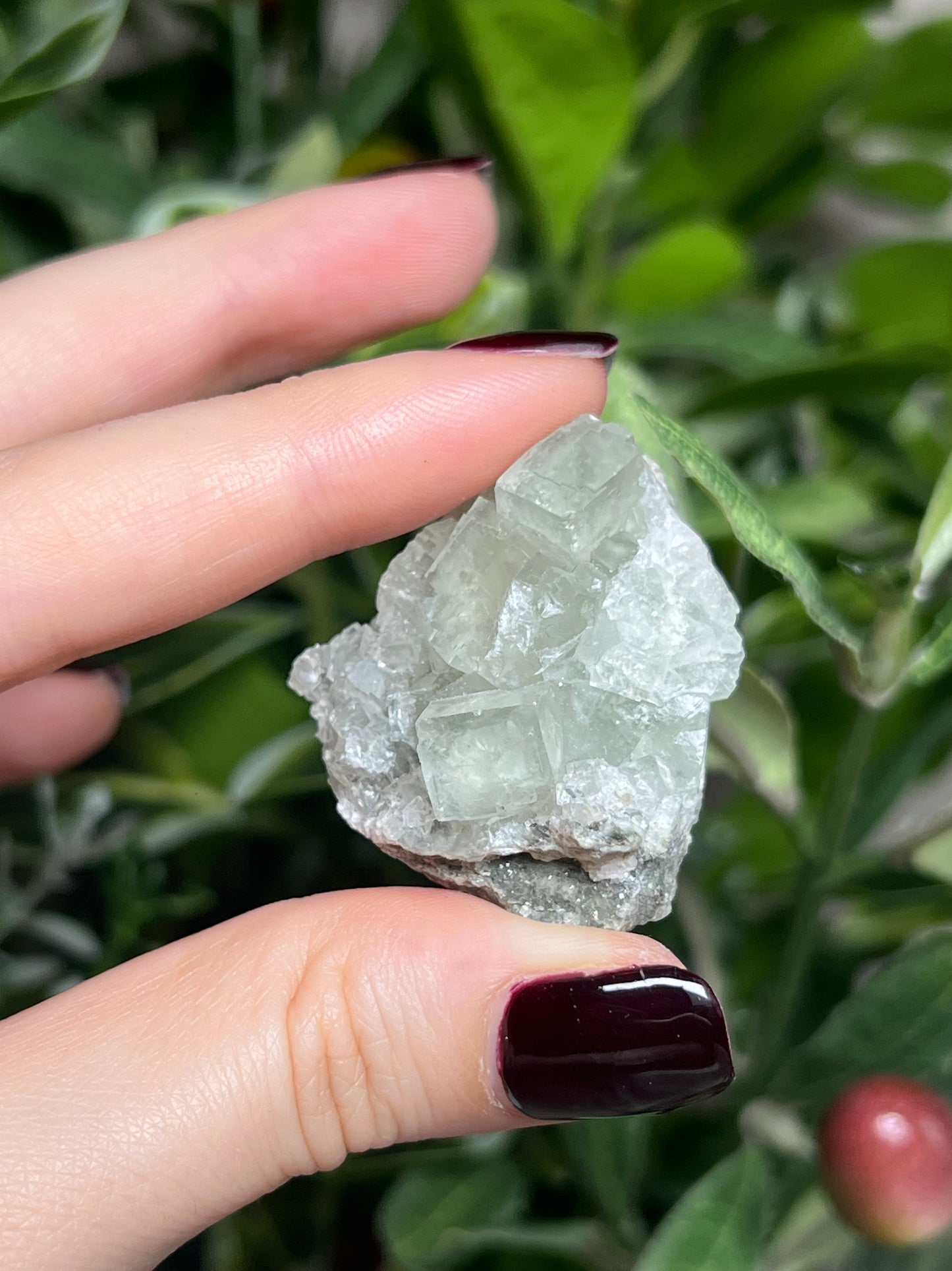 Fluorite with Calcite