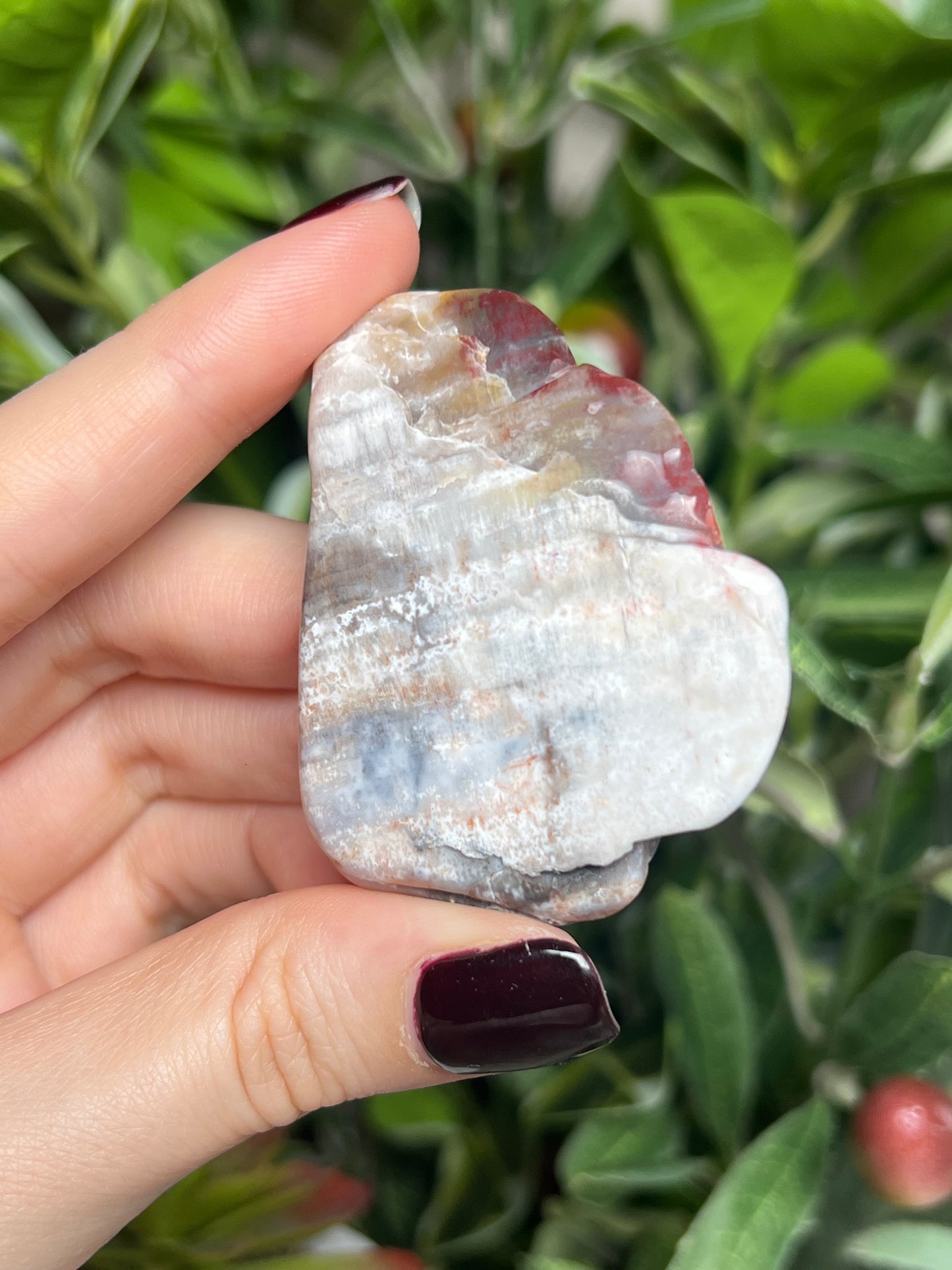 Arizona Petrified Wood Freeforms
