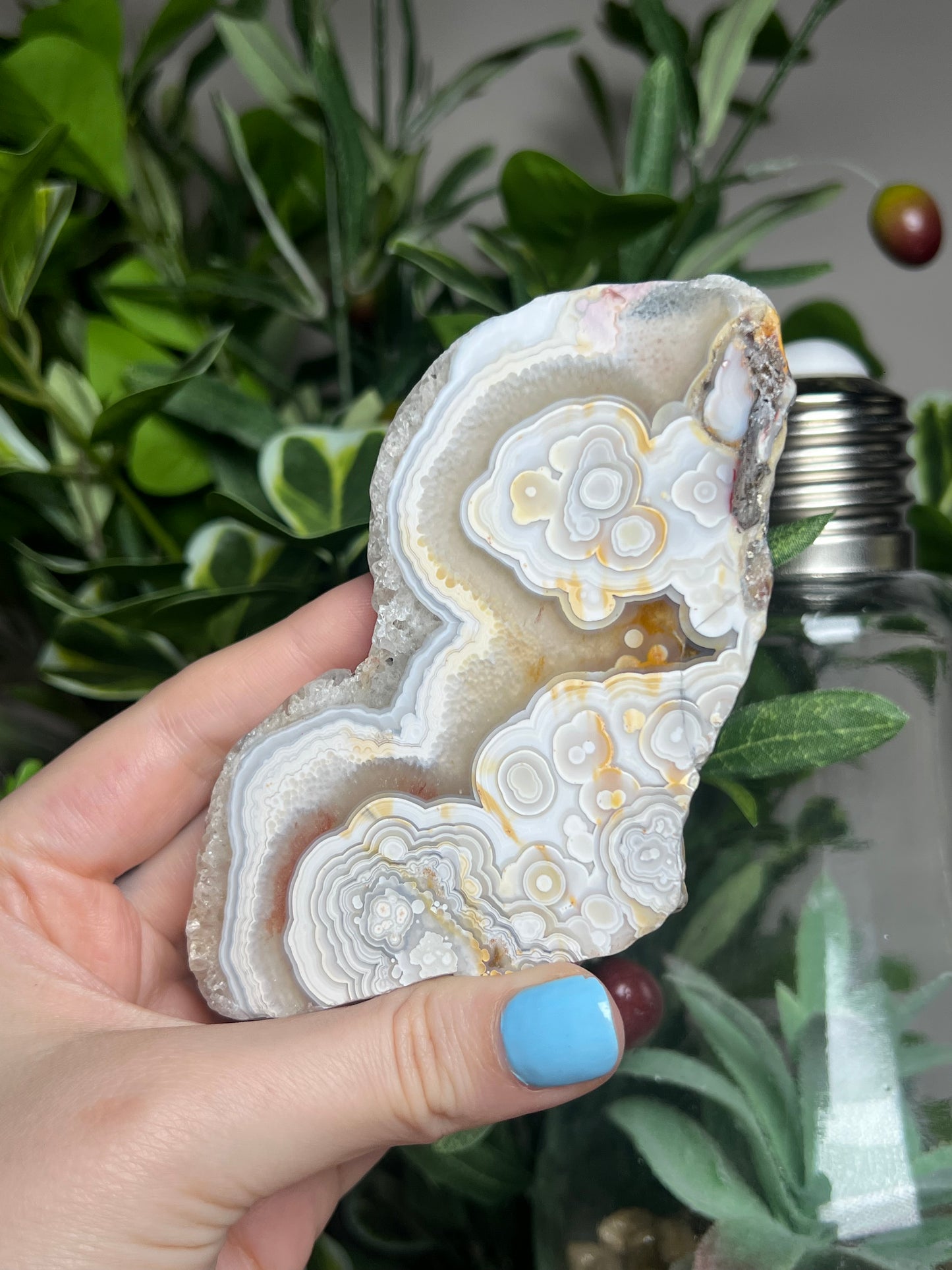 Laguna Lace Agate Freeforms