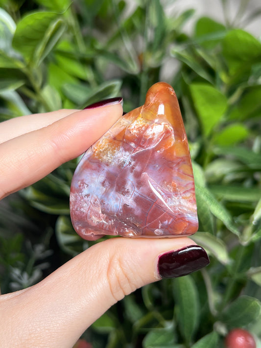 Arizona Petrified Wood Freeforms