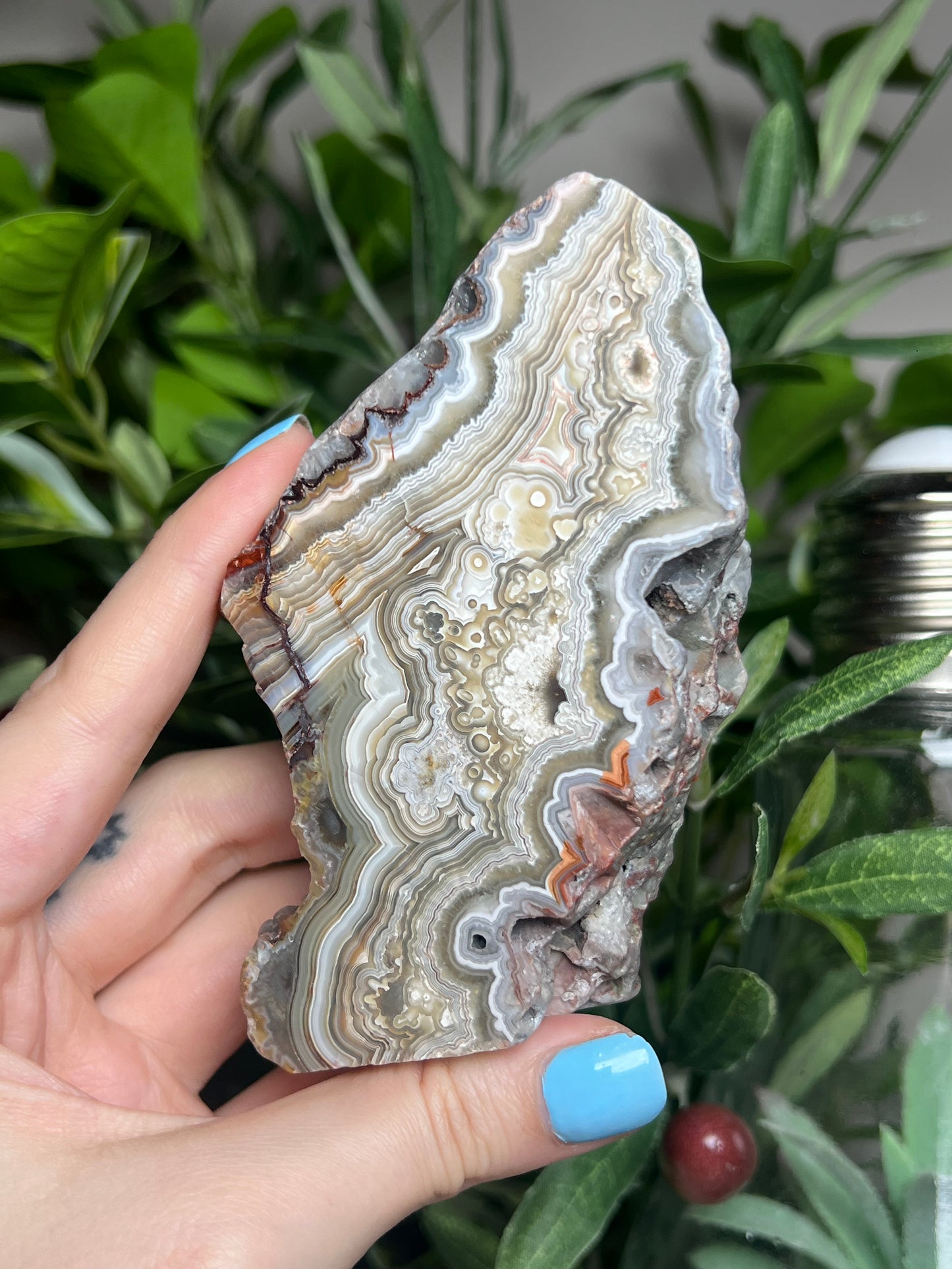 Laguna Lace Agate Freeforms