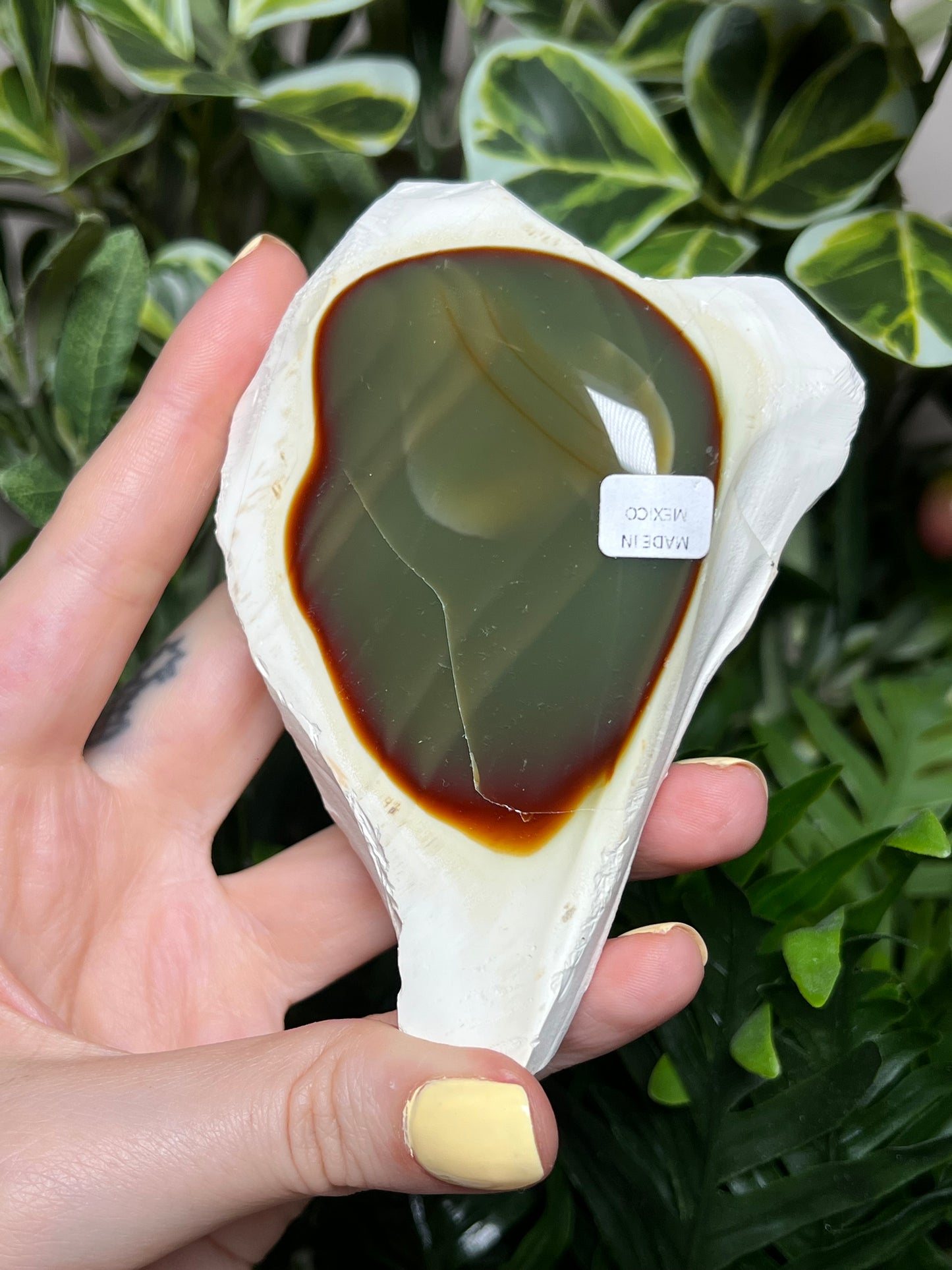 Imperial Jasper Freeforms
