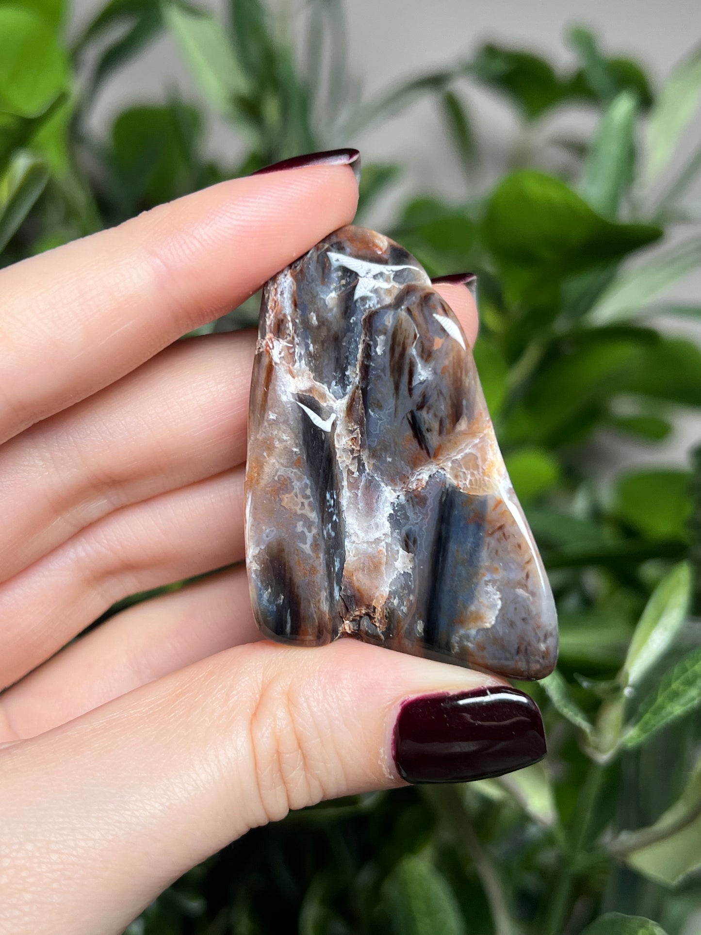 Arizona Petrified Wood Freeforms