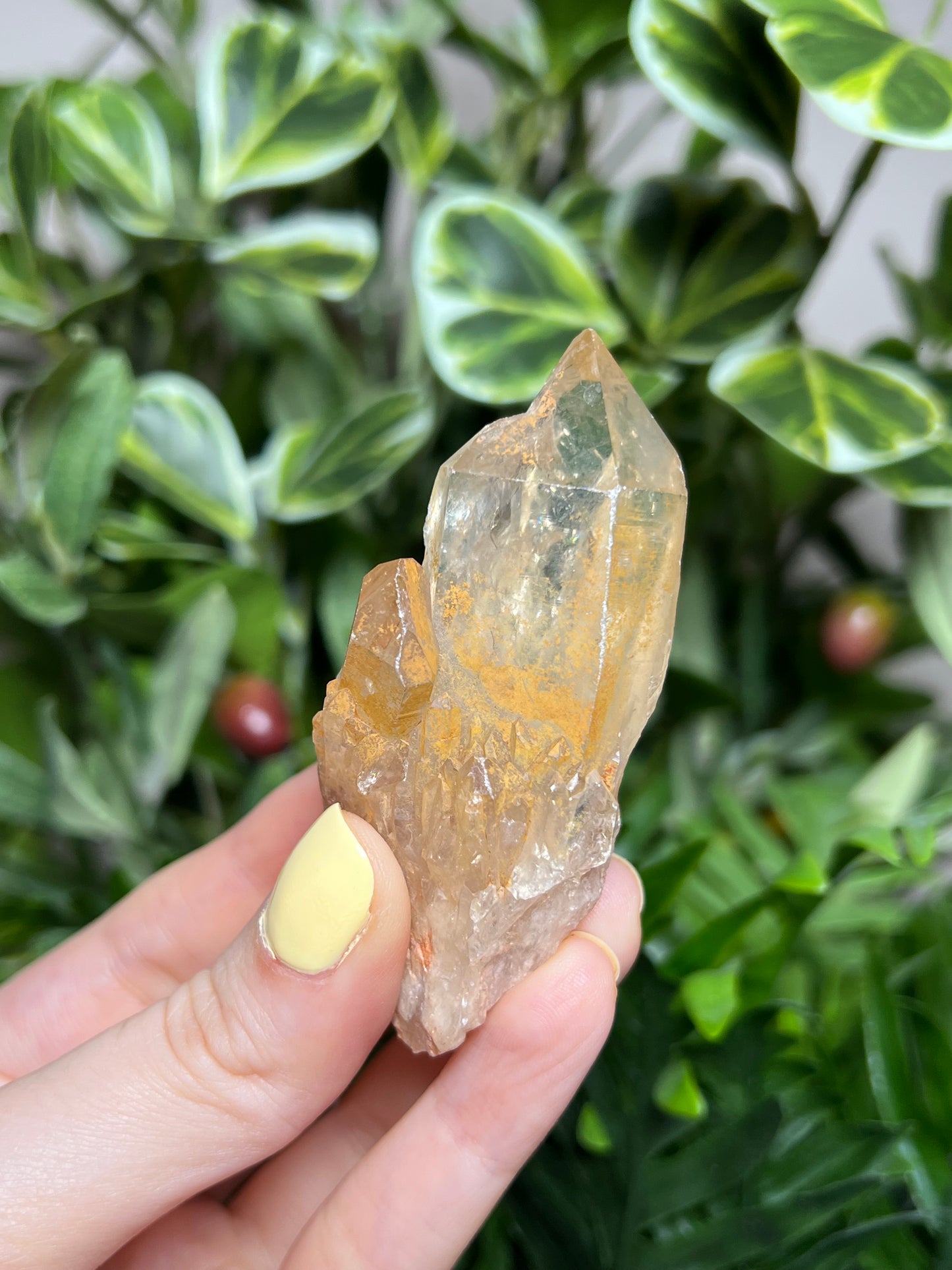 Natural Kundalini Citrine