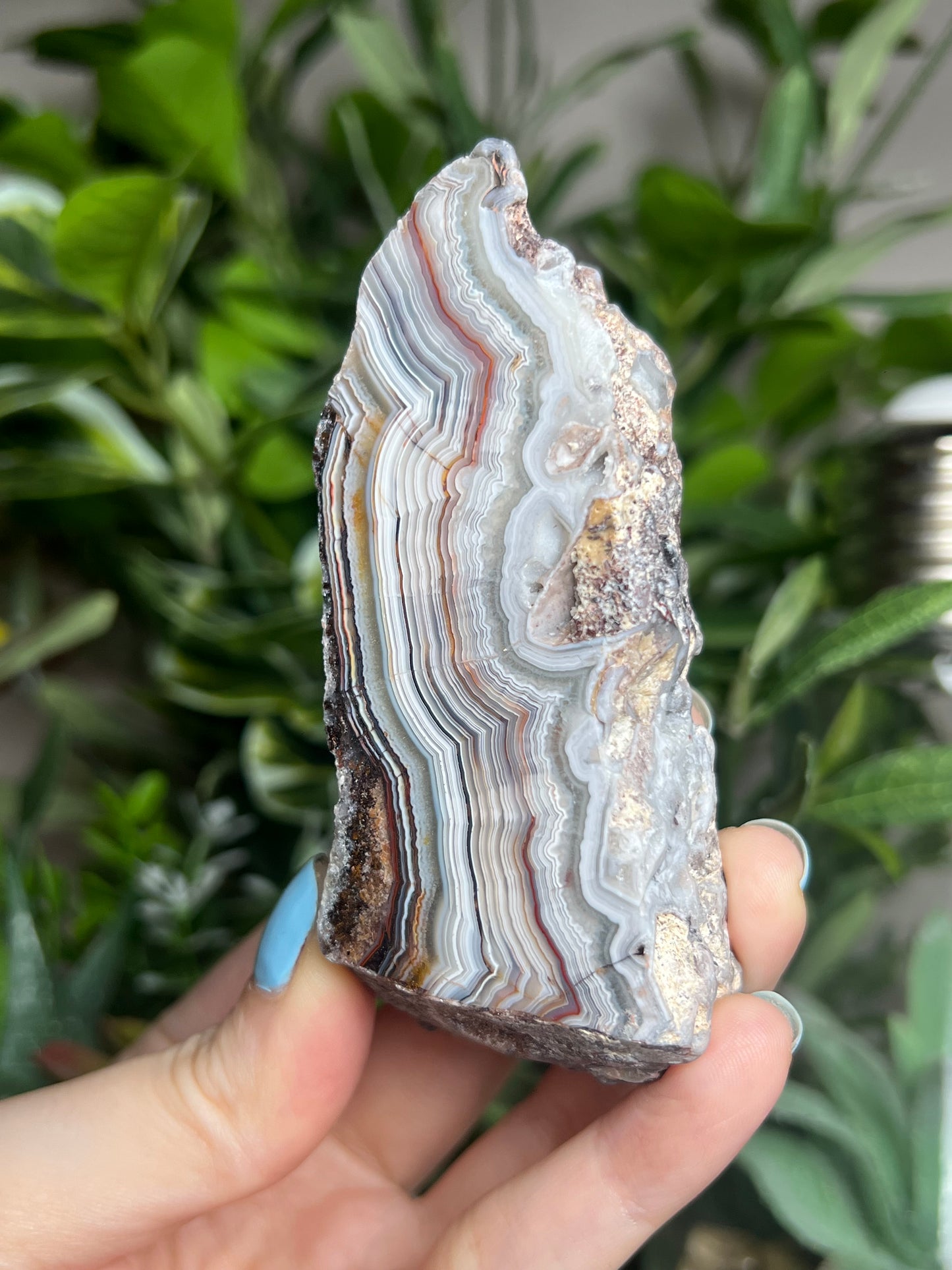 Laguna Lace Agate Freeforms