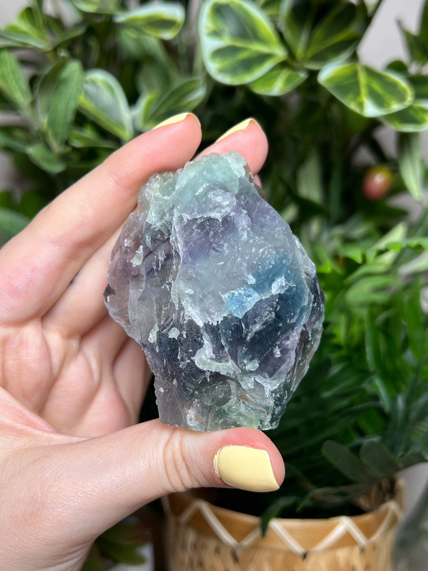 Fluorite Cutbases