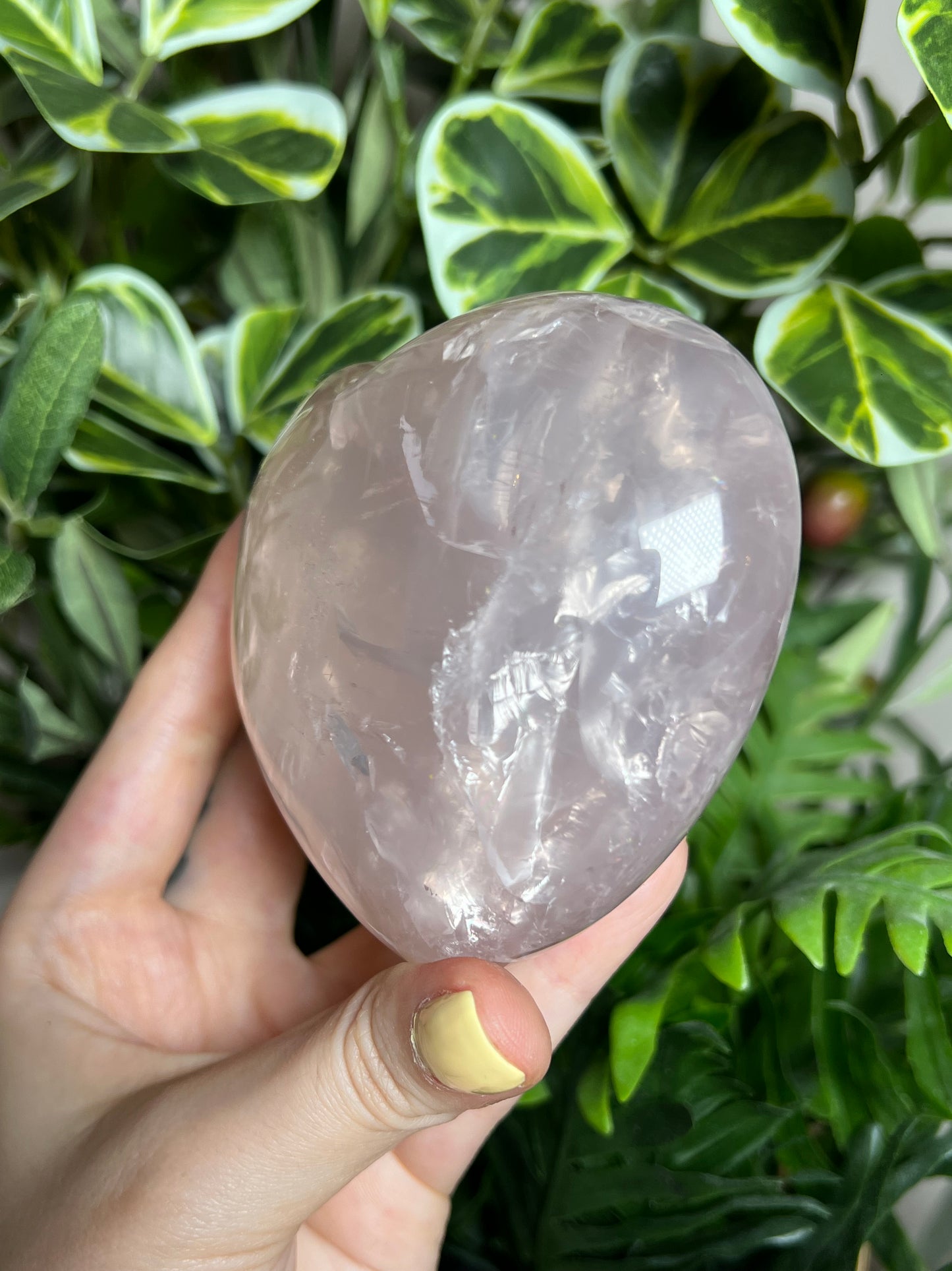 Gemmy Star Rose Quartz Hearts