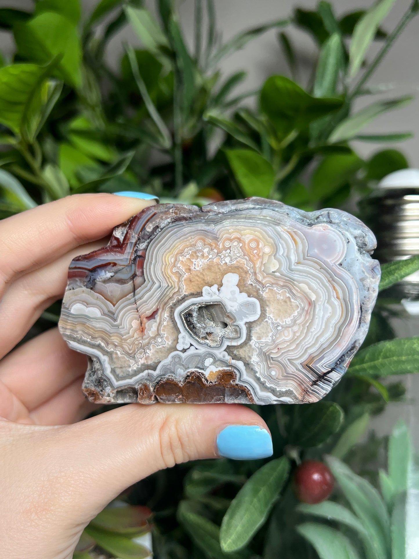 Laguna Lace Agate Freeforms