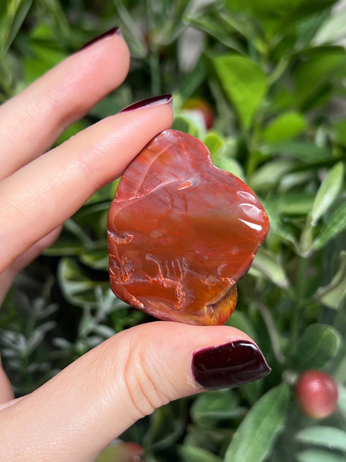 Arizona Petrified Wood Freeforms