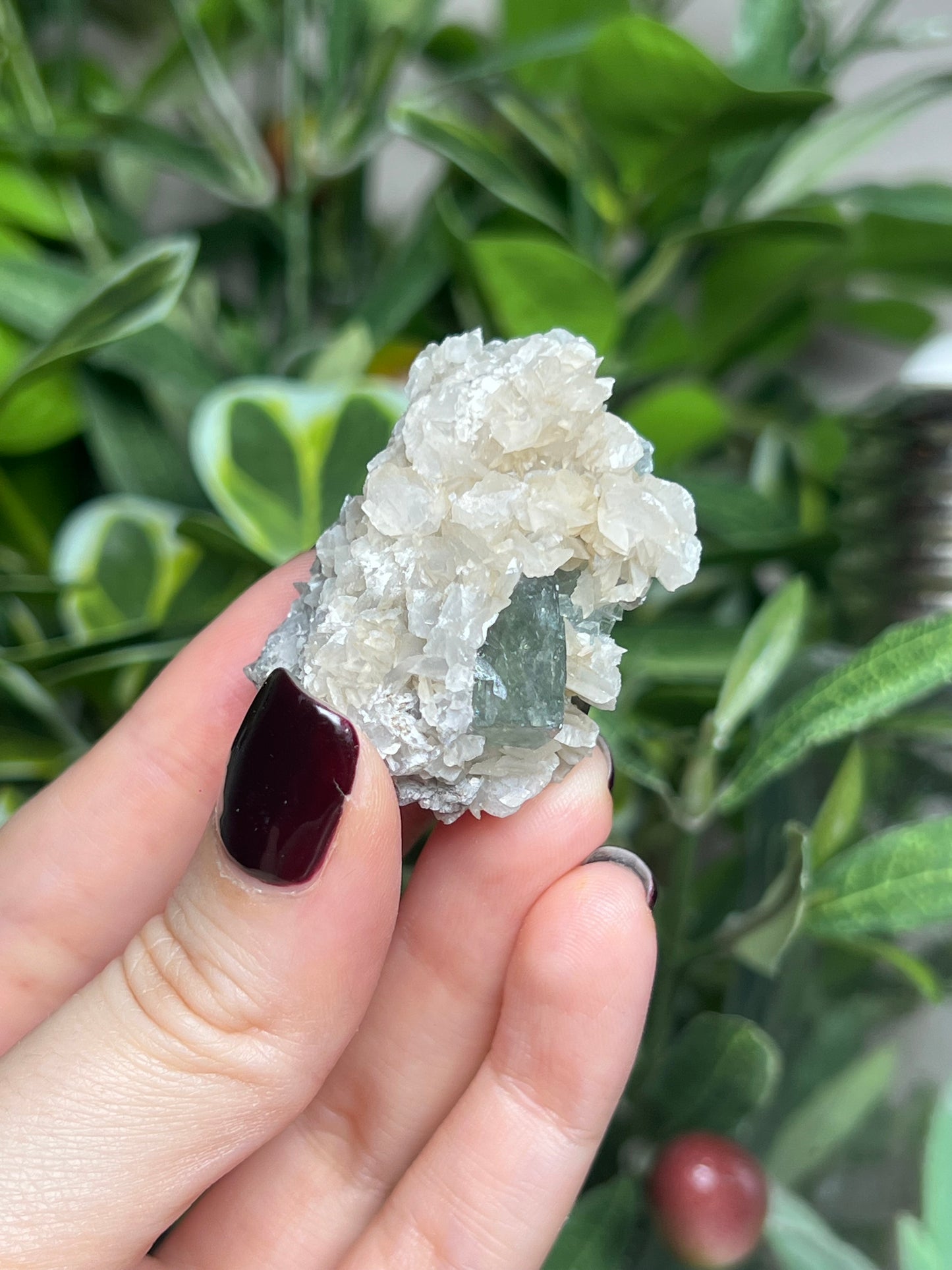 Fluorite with Calcite