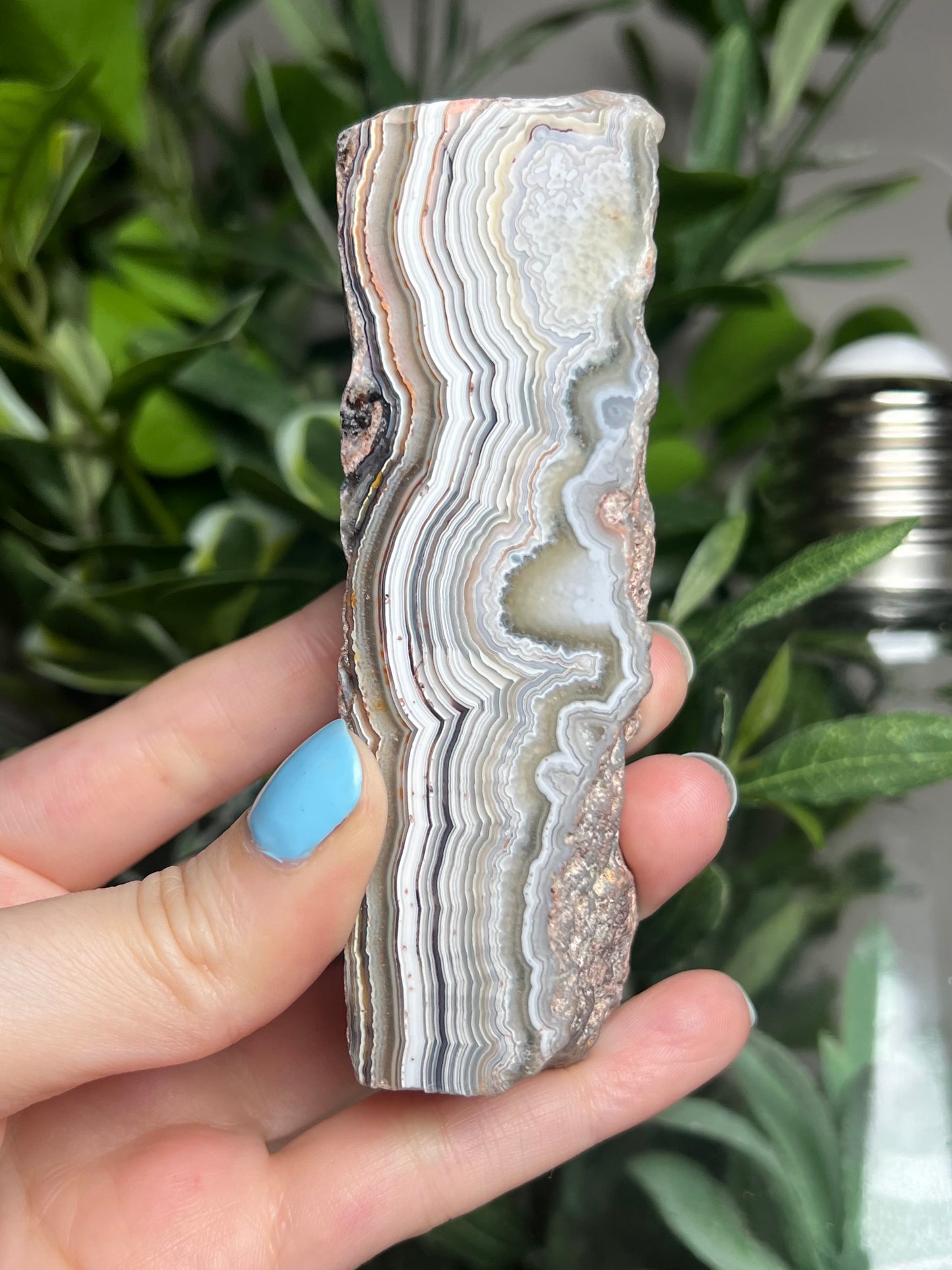 Laguna Lace Agate Freeforms