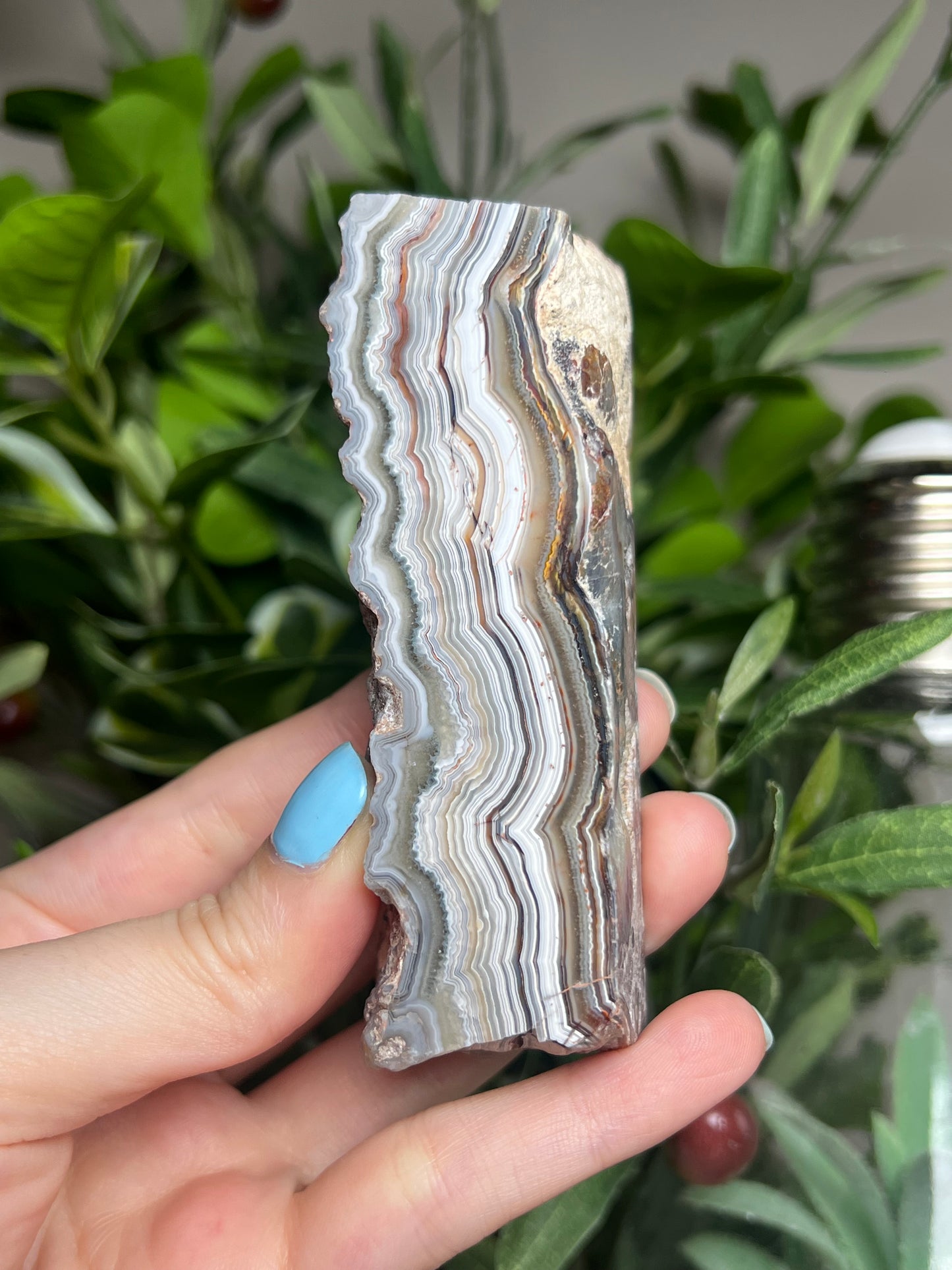 Laguna Lace Agate Freeforms