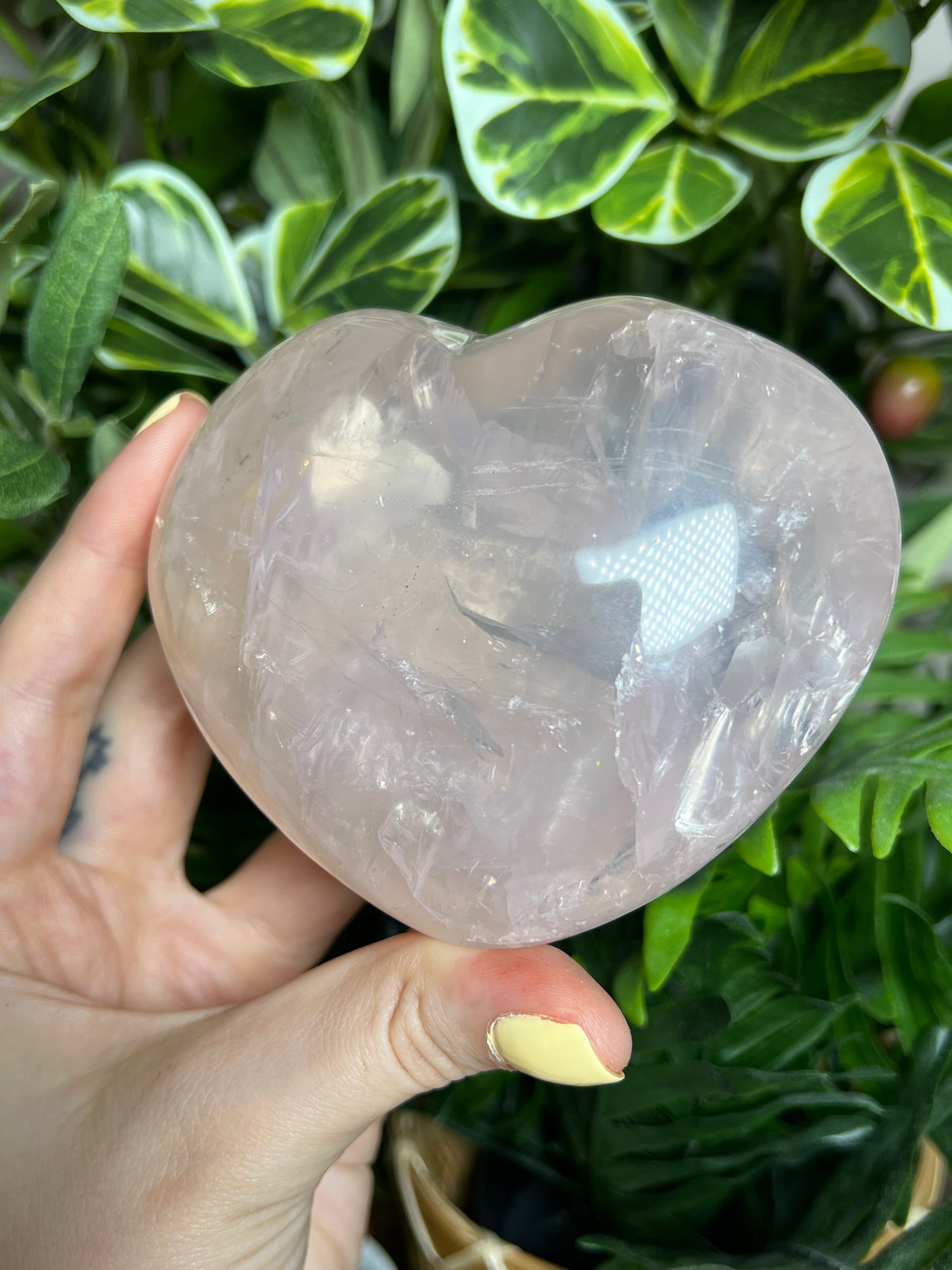 Gemmy Star Rose Quartz Hearts