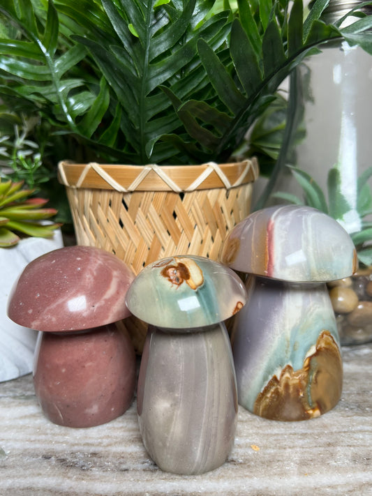 Polychrome Jasper Mushrooms