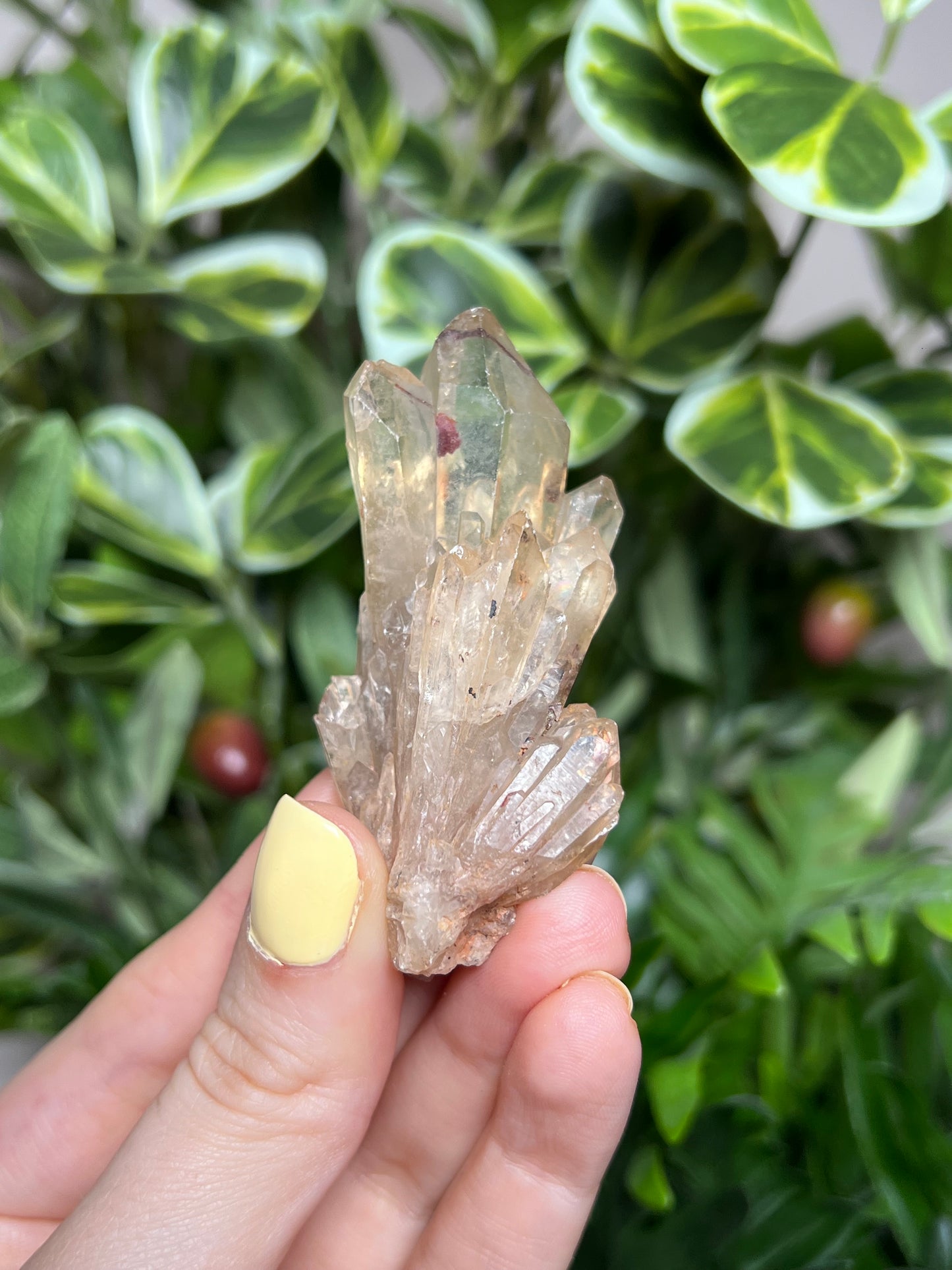 Natural Kundalini Citrine