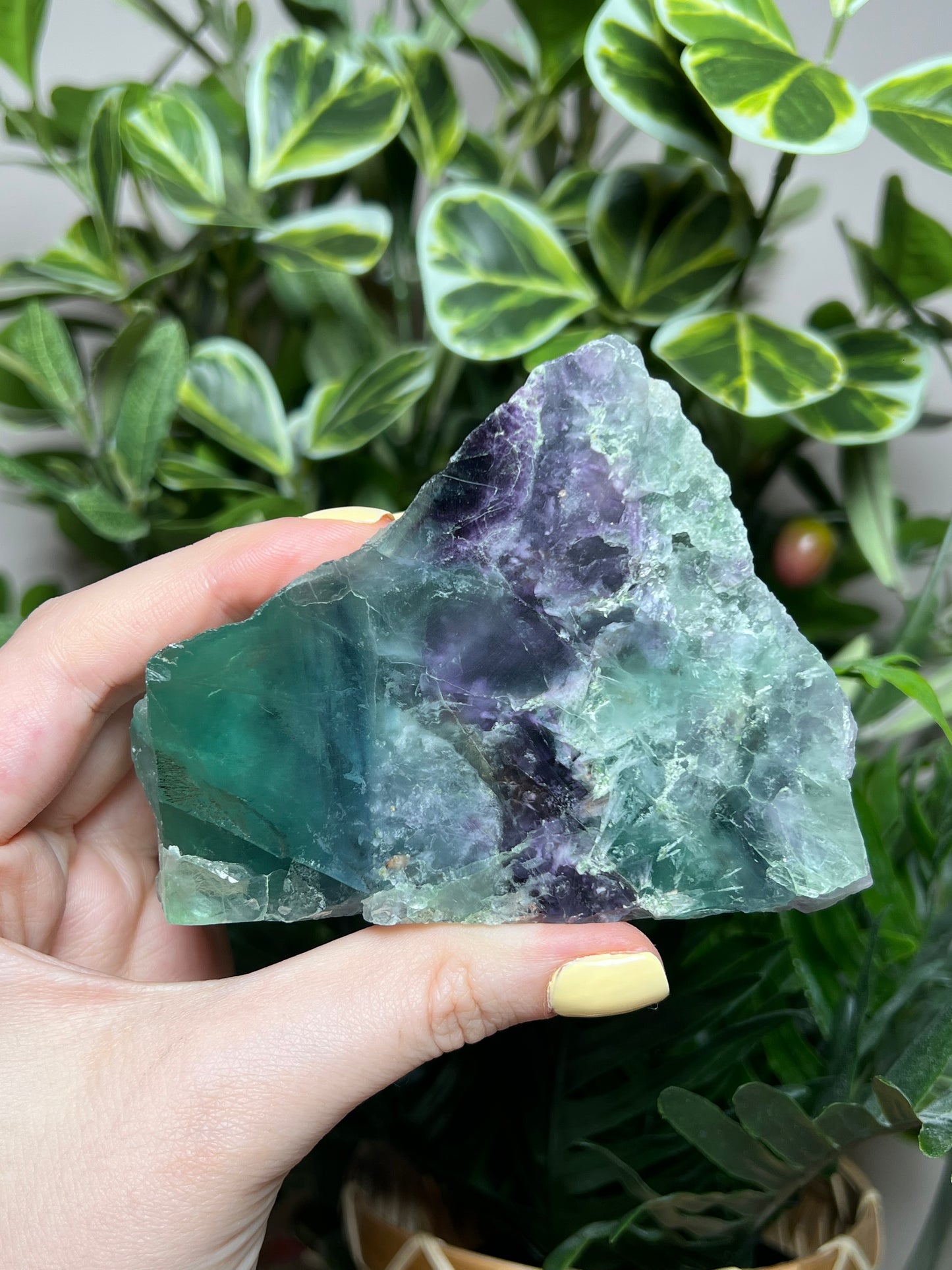 Fluorite Cutbases