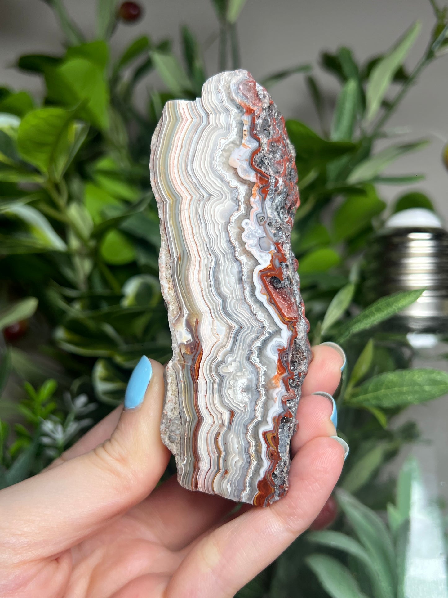 Laguna Lace Agate Freeforms