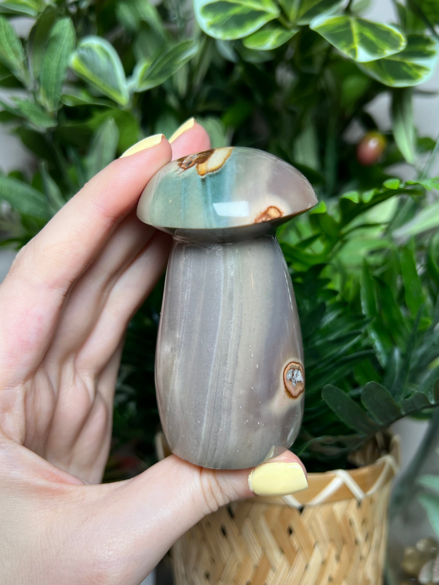 Polychrome Jasper Mushrooms