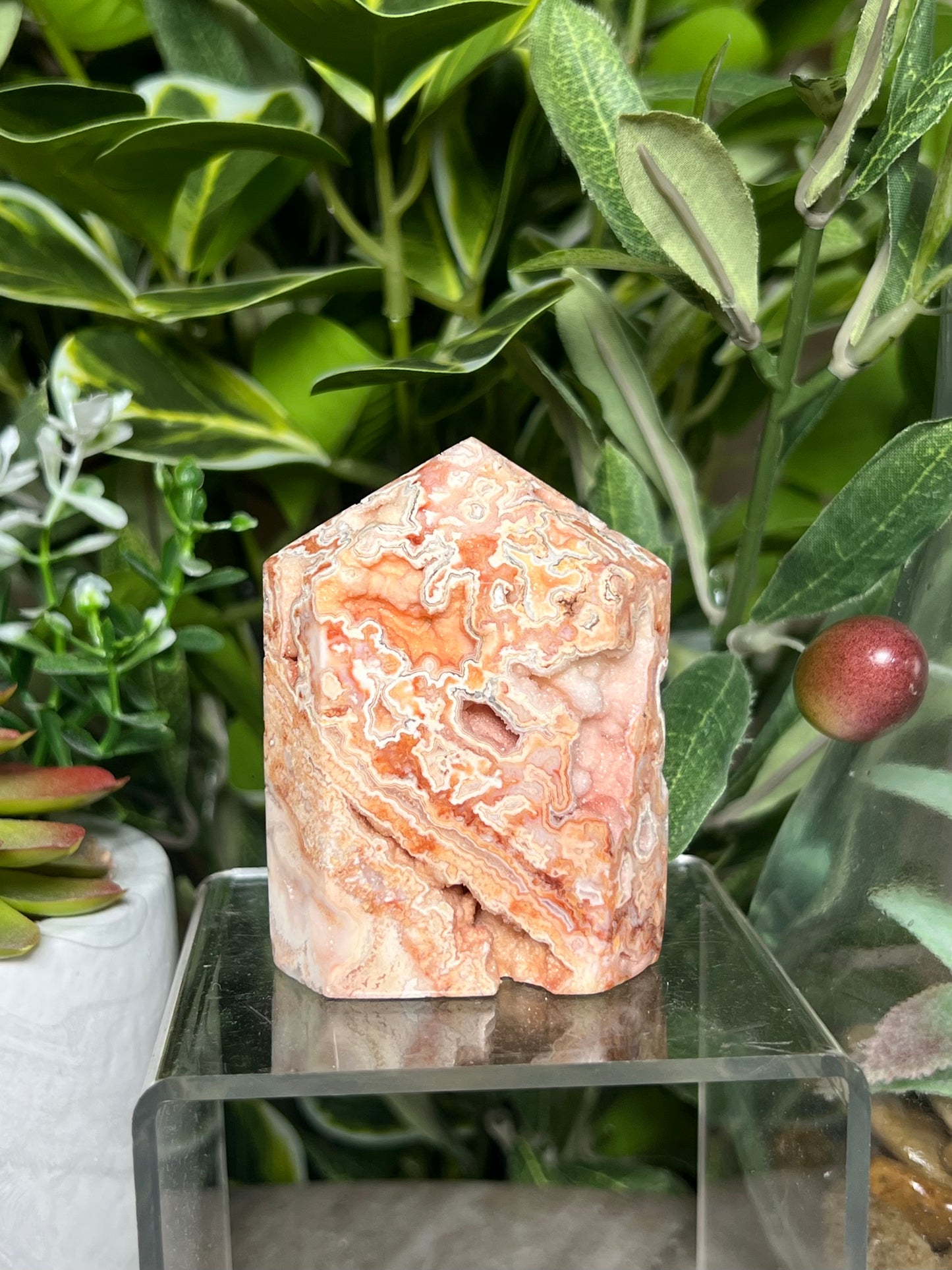 Pink Crazy Lace Towers