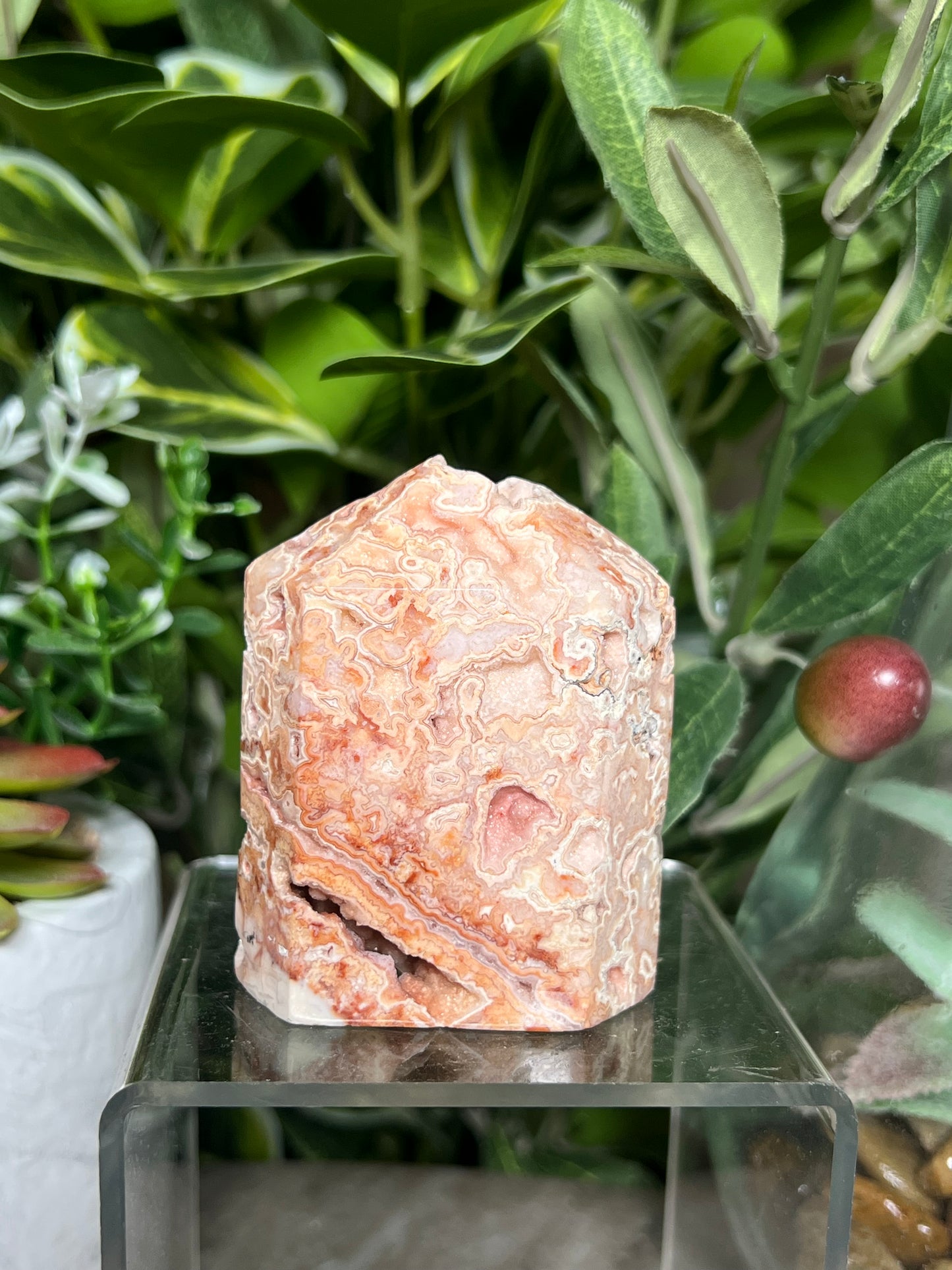 Pink Crazy Lace Towers