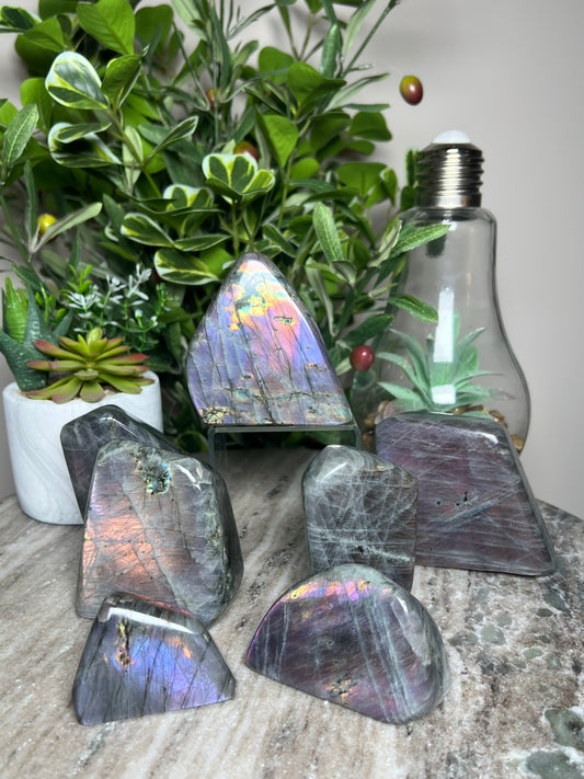 Labradorite Freeforms