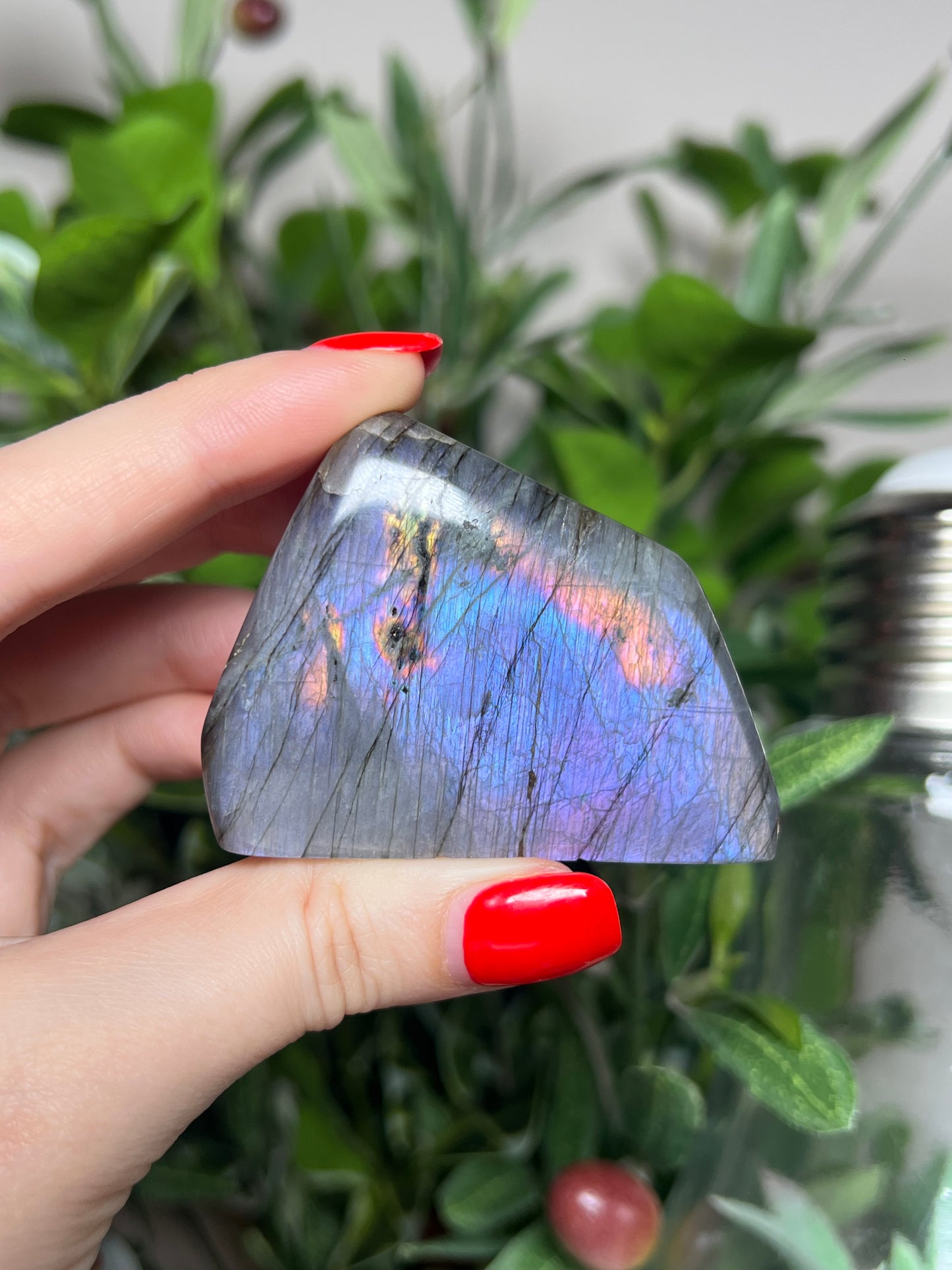 Labradorite Freeforms