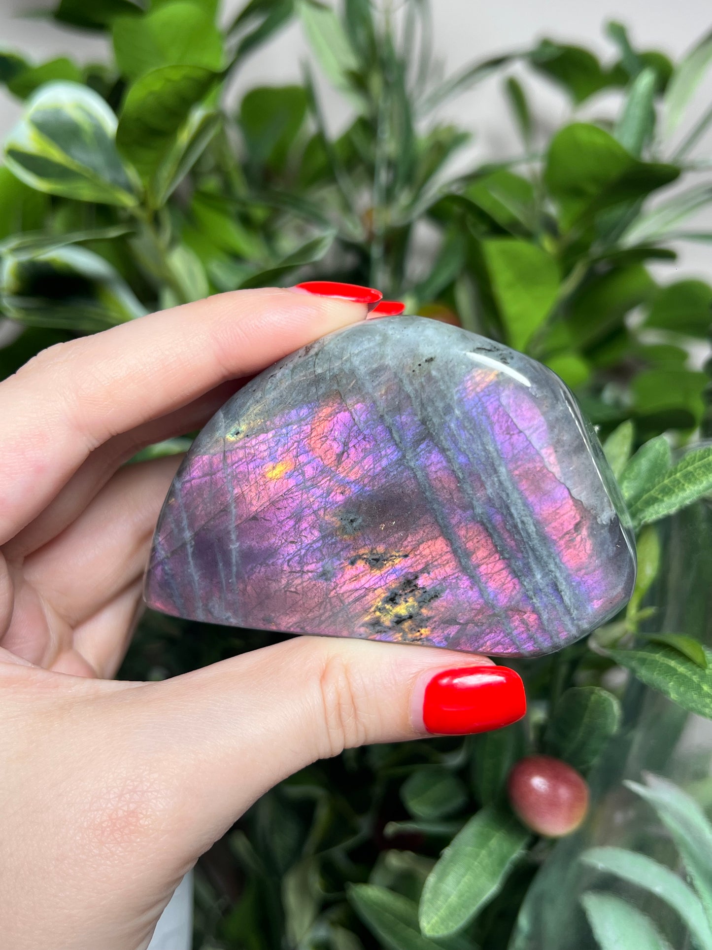 Labradorite Freeforms