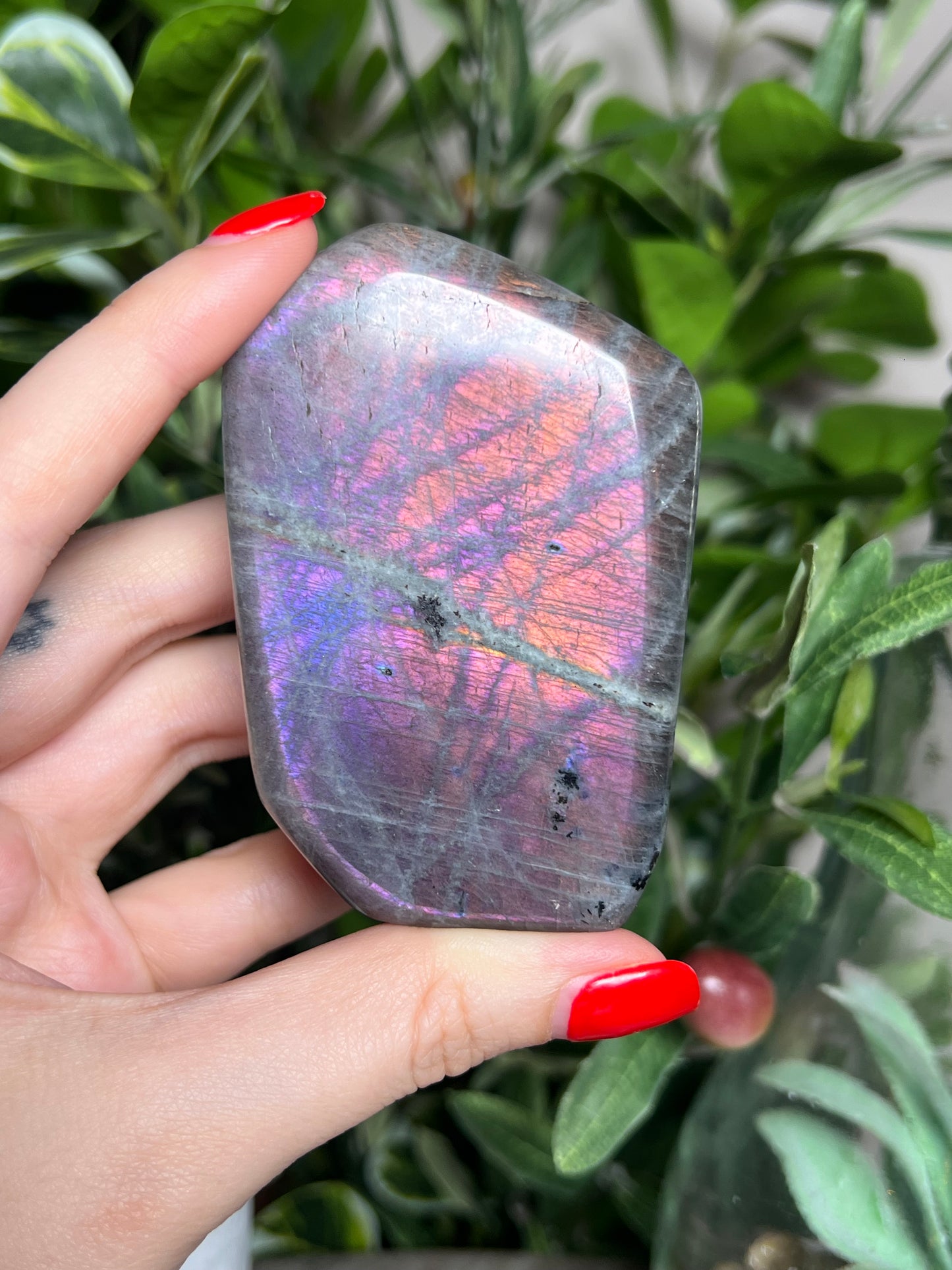 Labradorite Freeforms