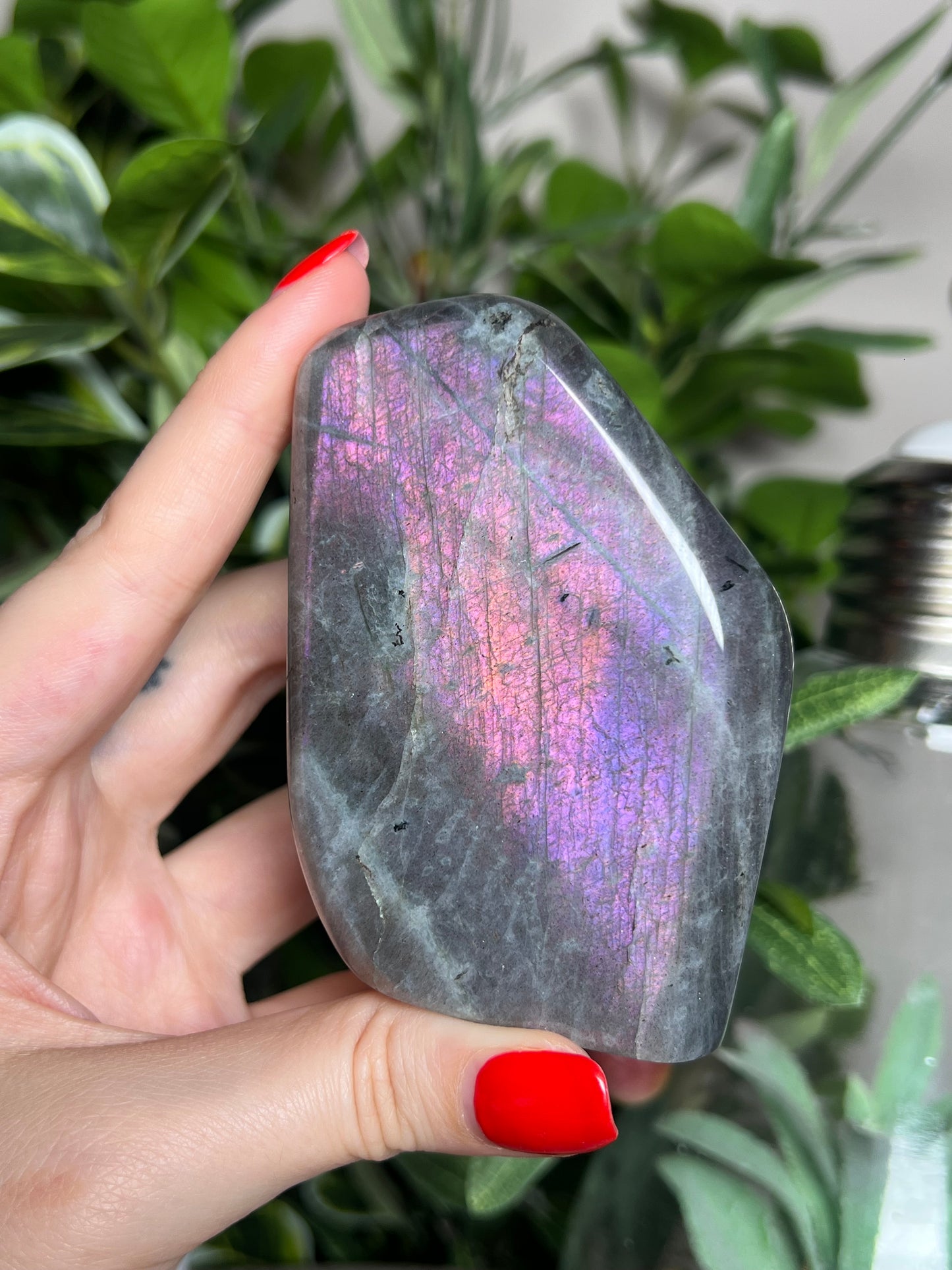 Labradorite Freeforms