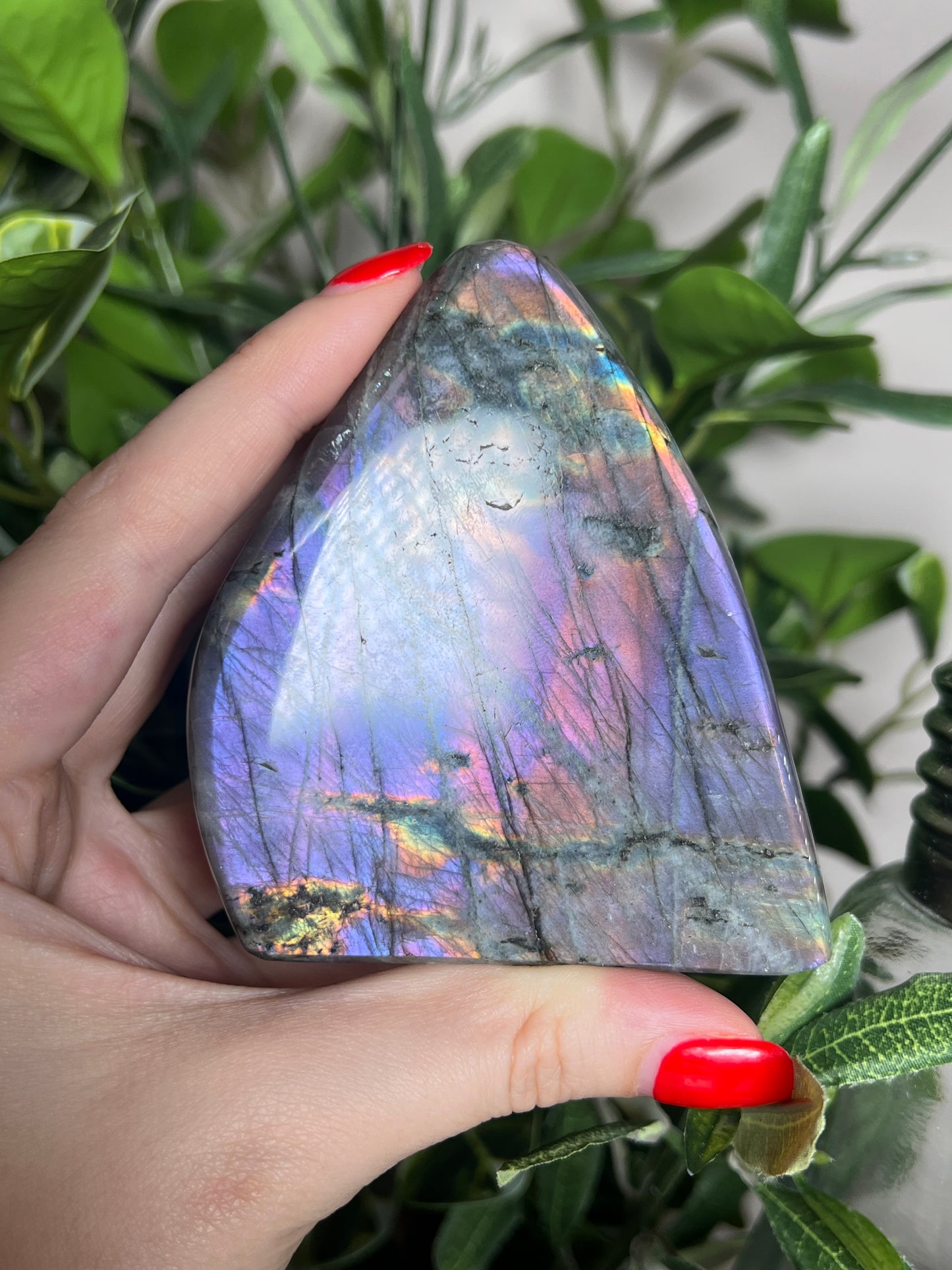 Labradorite Freeforms