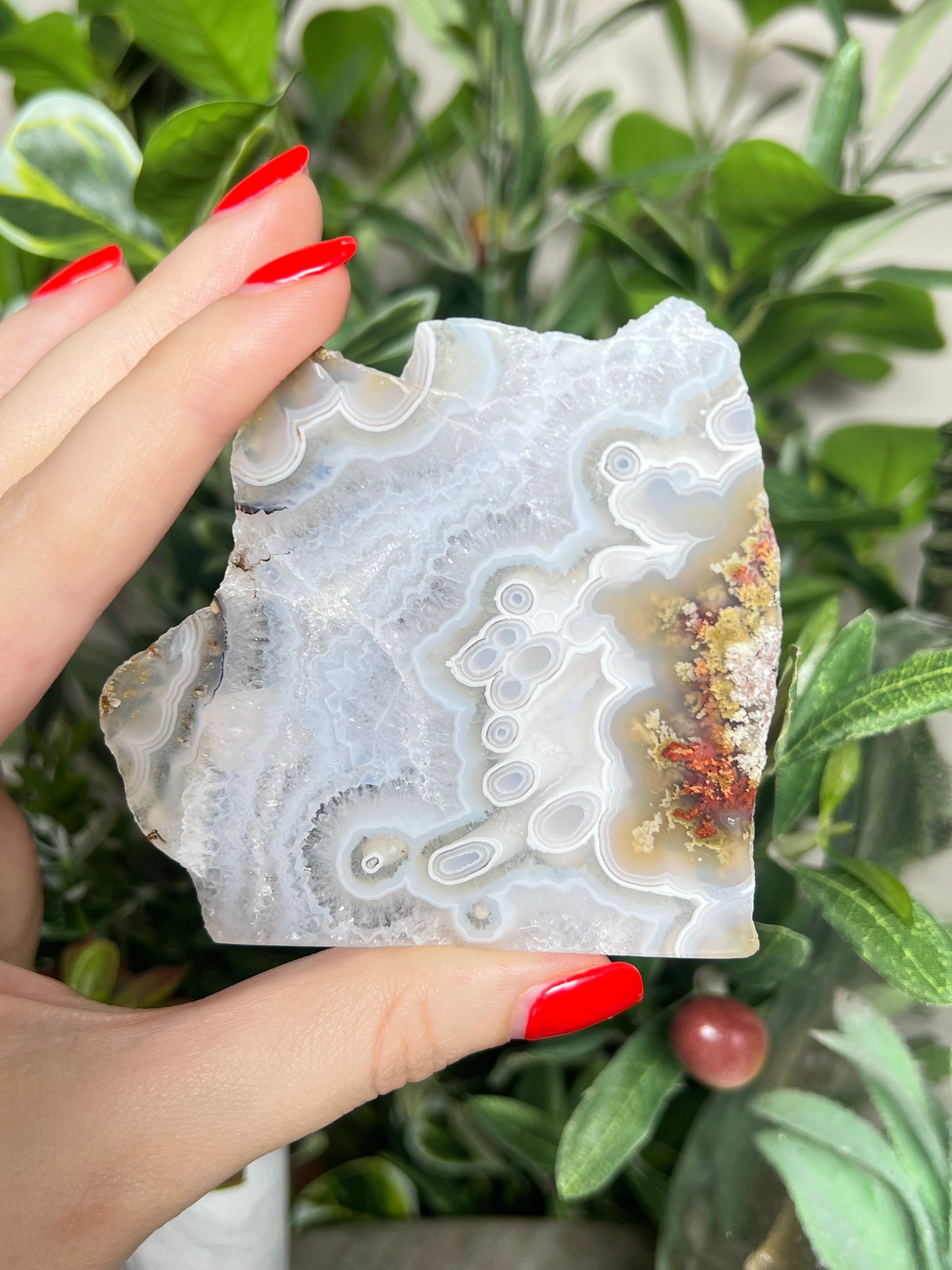 Scenic Moss Slabs