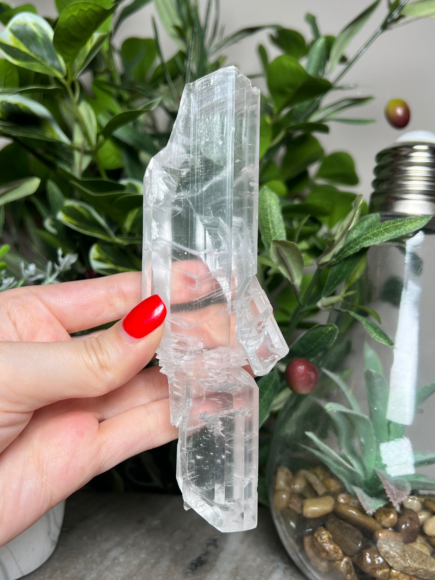 Statement Fishtail Selenite
