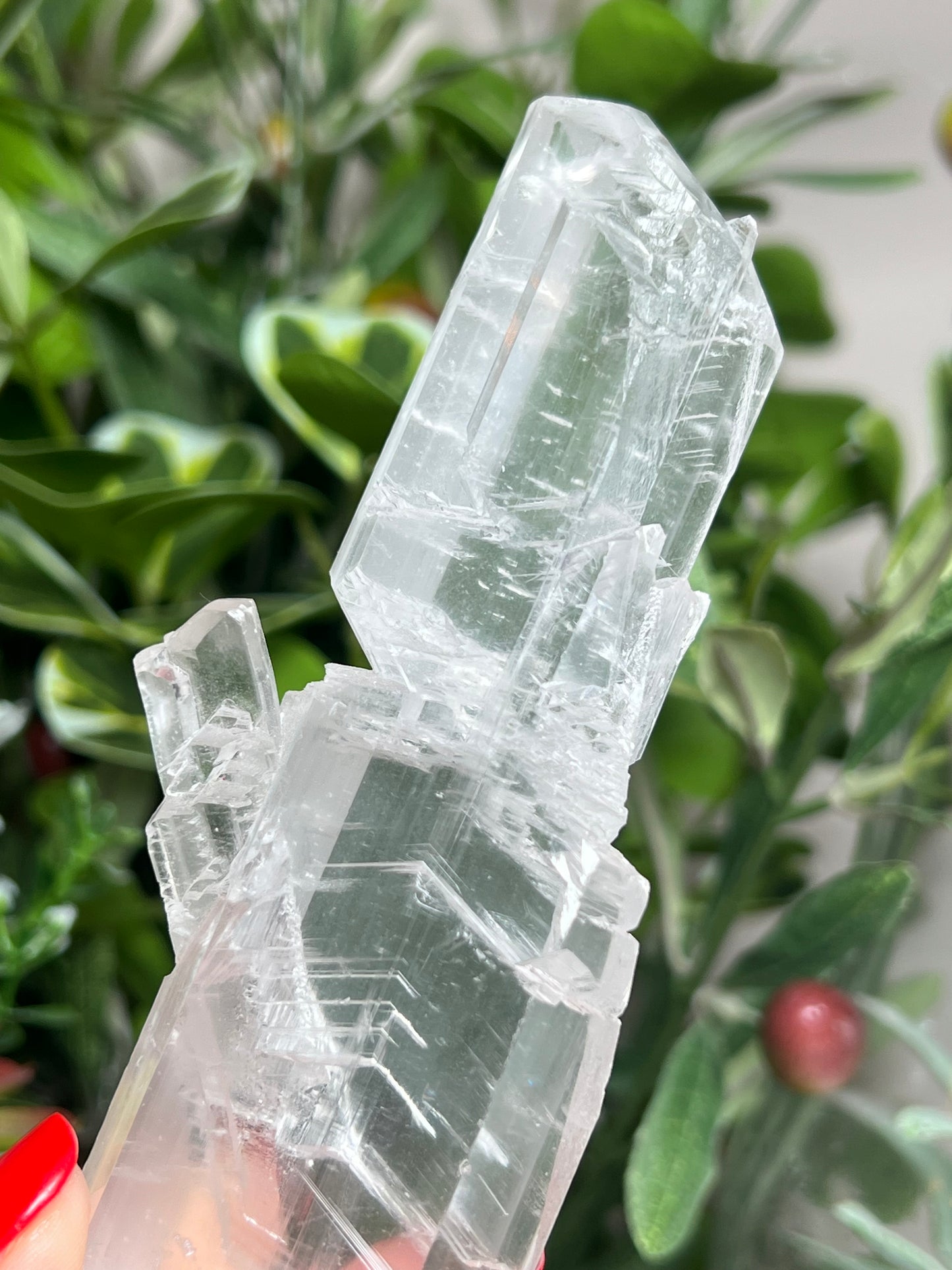 Statement Fishtail Selenite