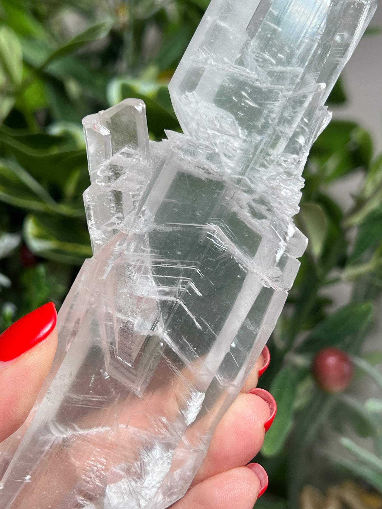 Statement Fishtail Selenite
