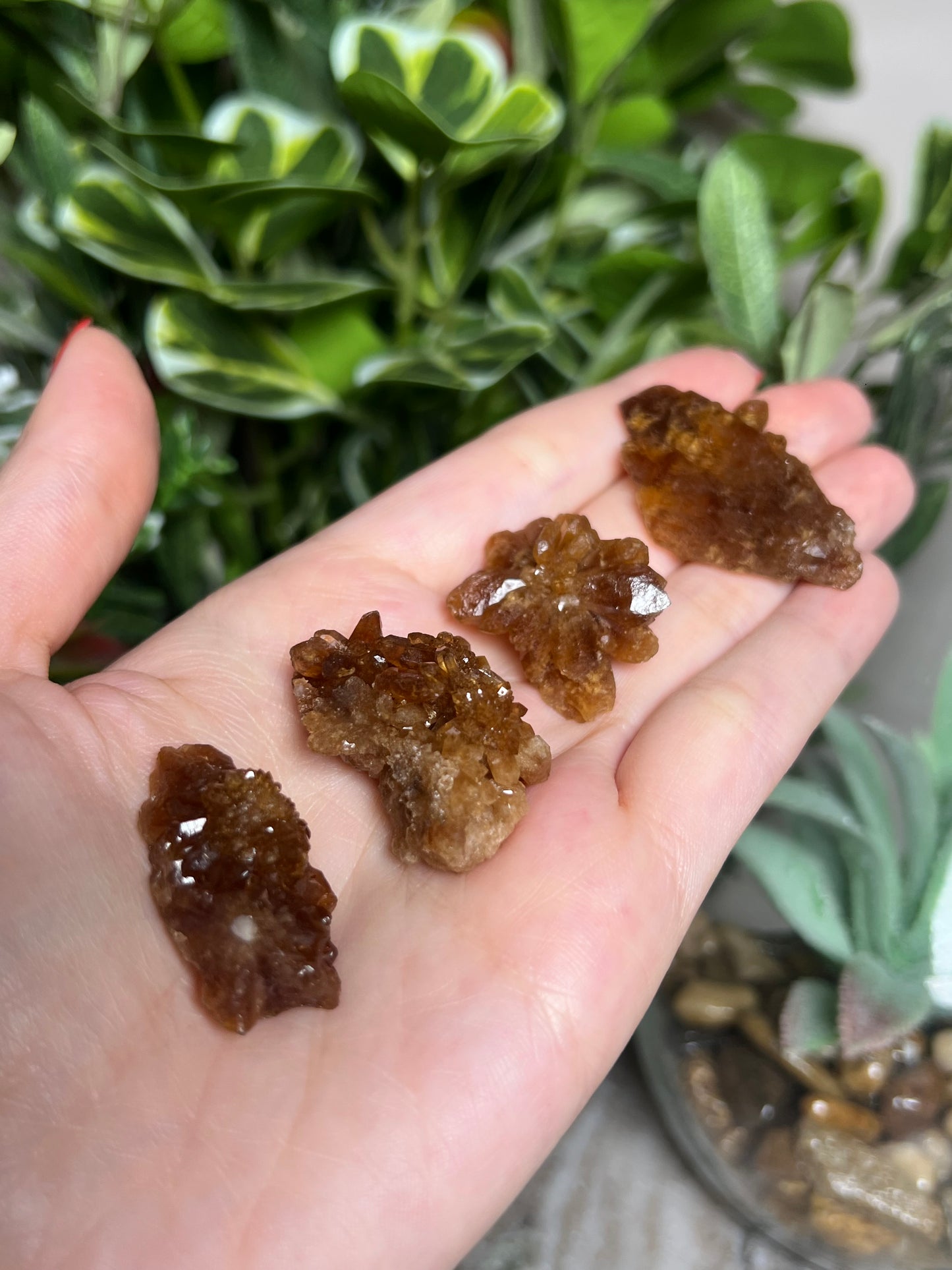 Citrine Flowers
