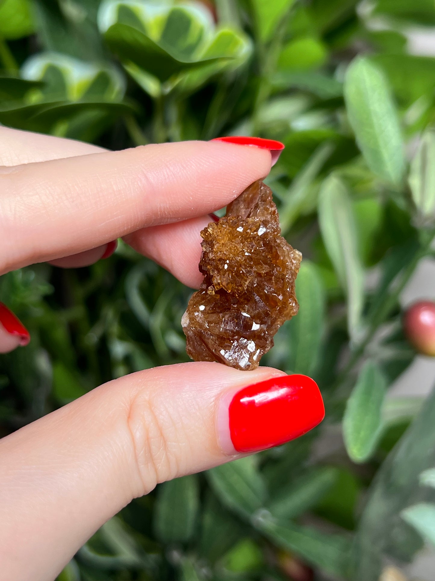 Citrine Flowers