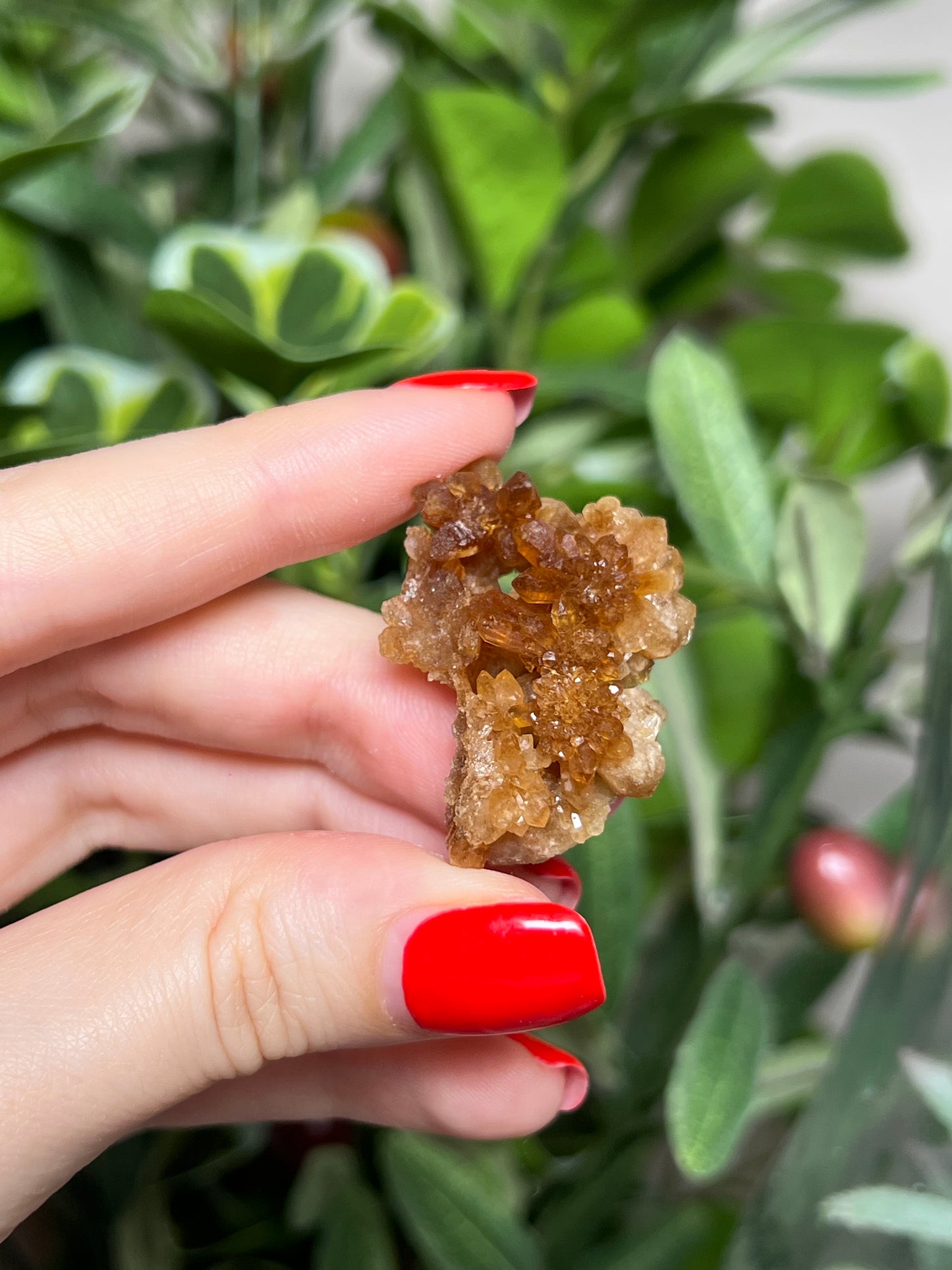 Citrine Flowers