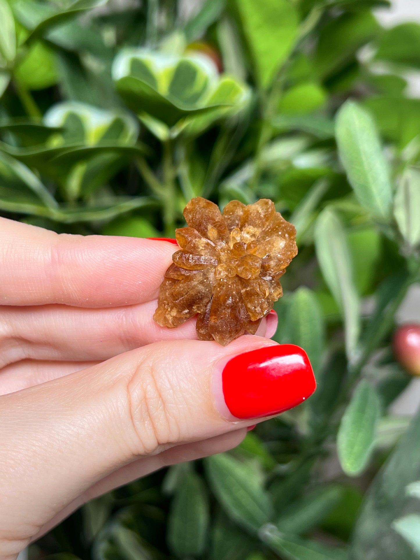 Citrine Flowers