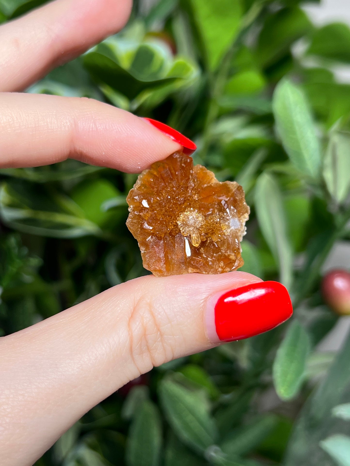 Citrine Flowers