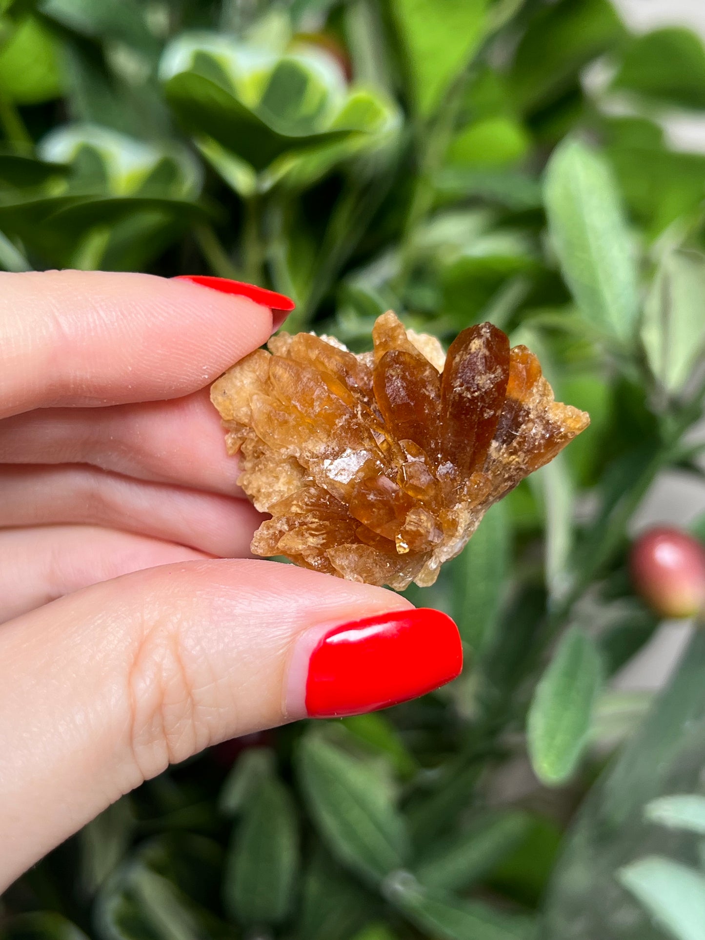 Citrine Flowers