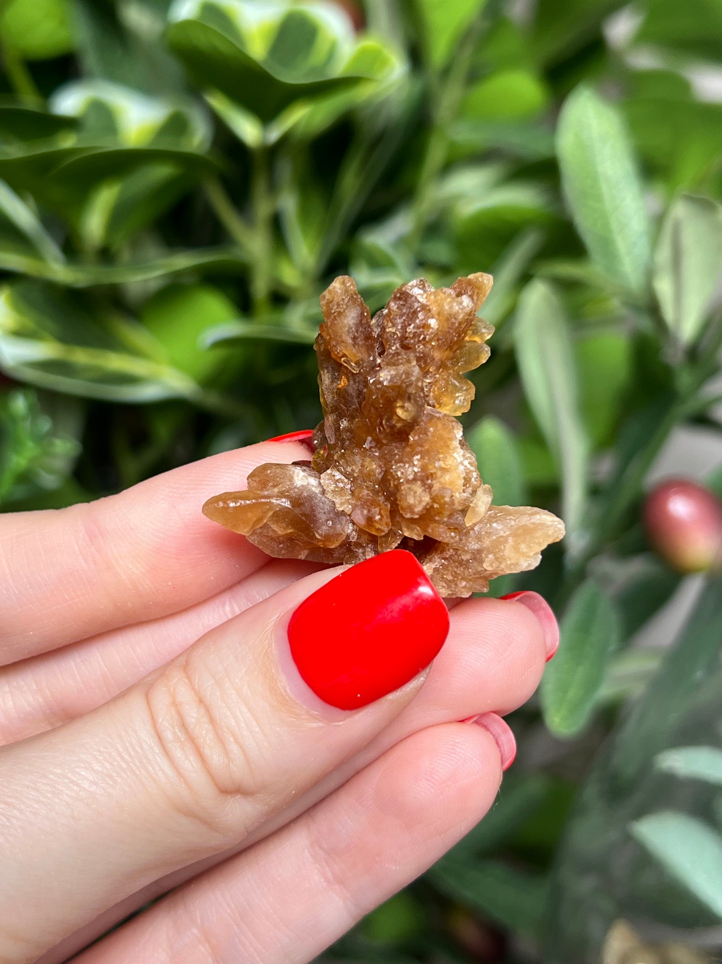Citrine Flowers