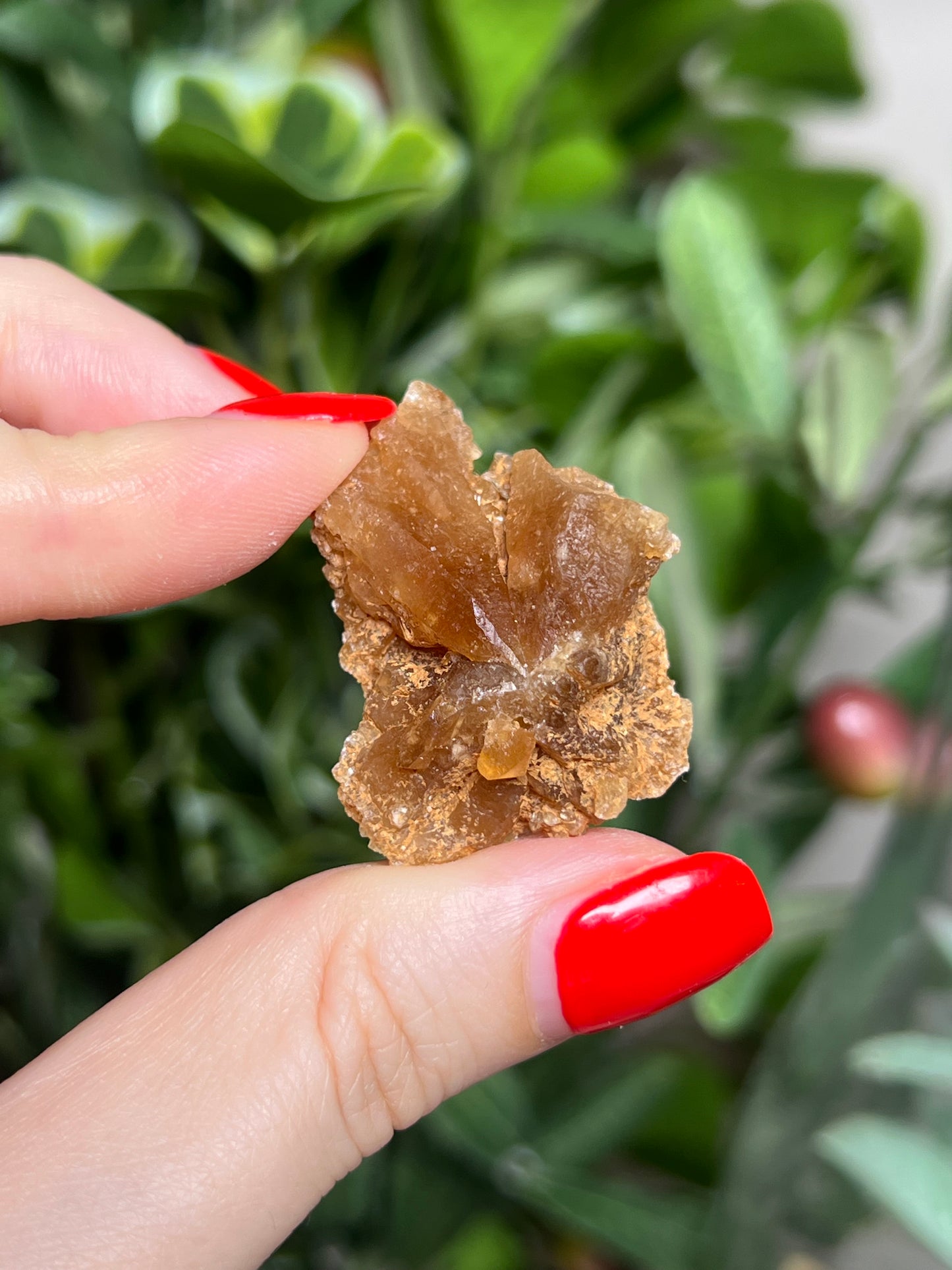 Citrine Flowers