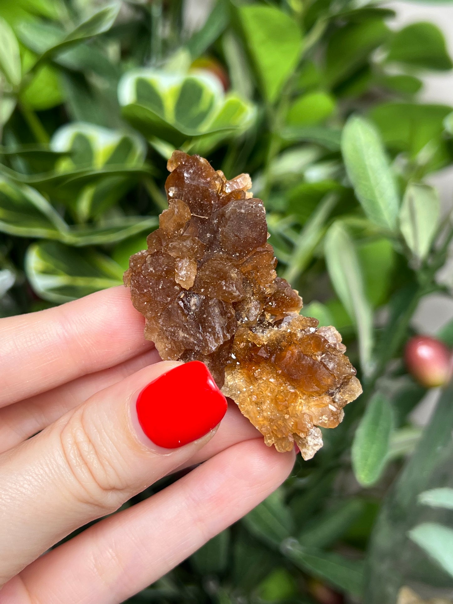 Citrine Flowers