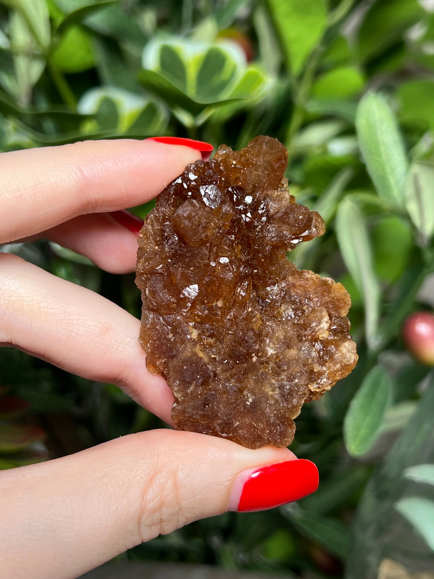 Citrine Flowers