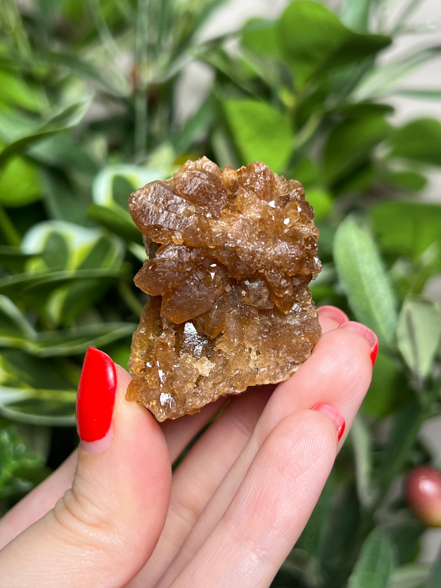 Citrine Flowers