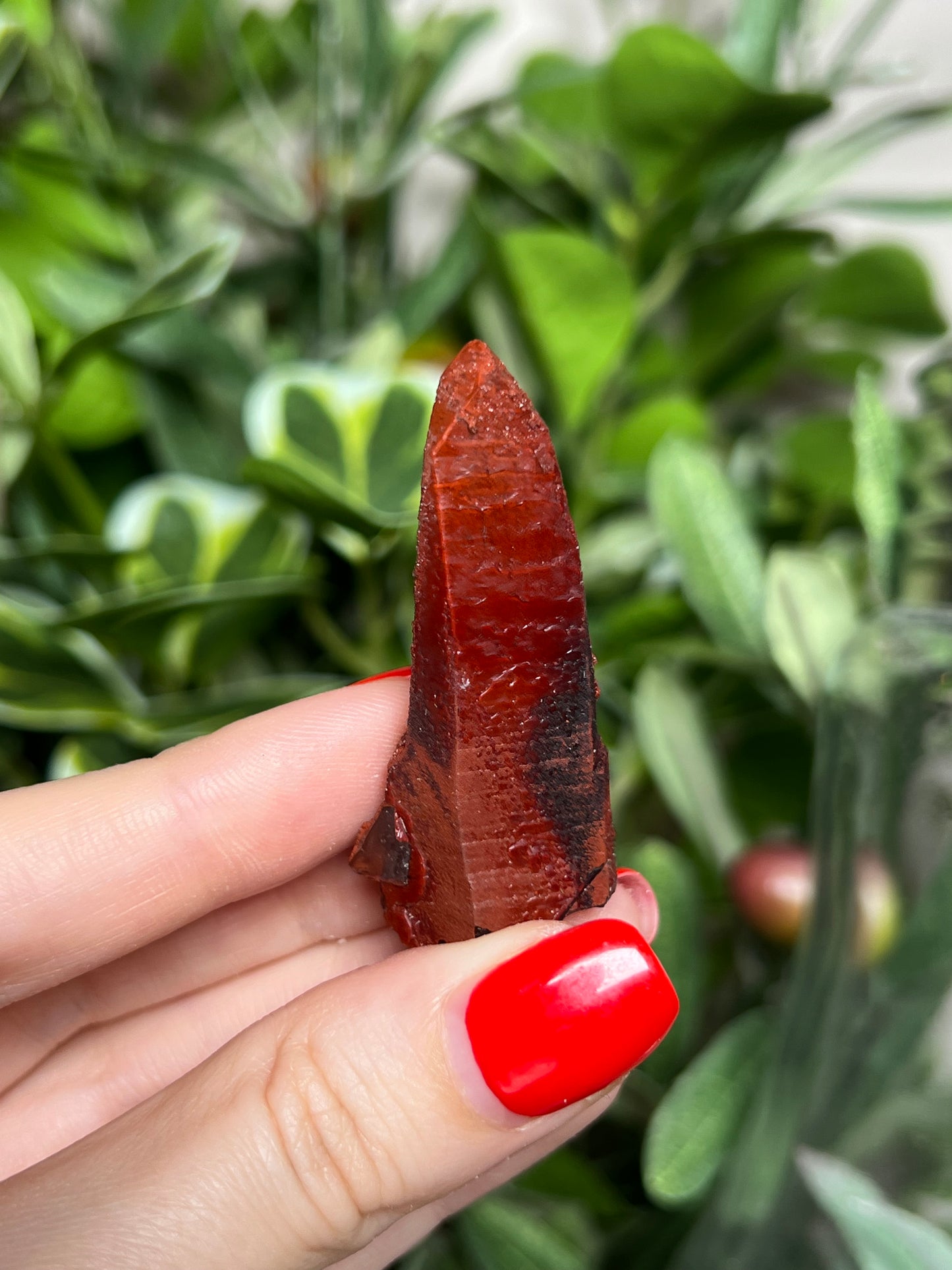 Vampy Quartz