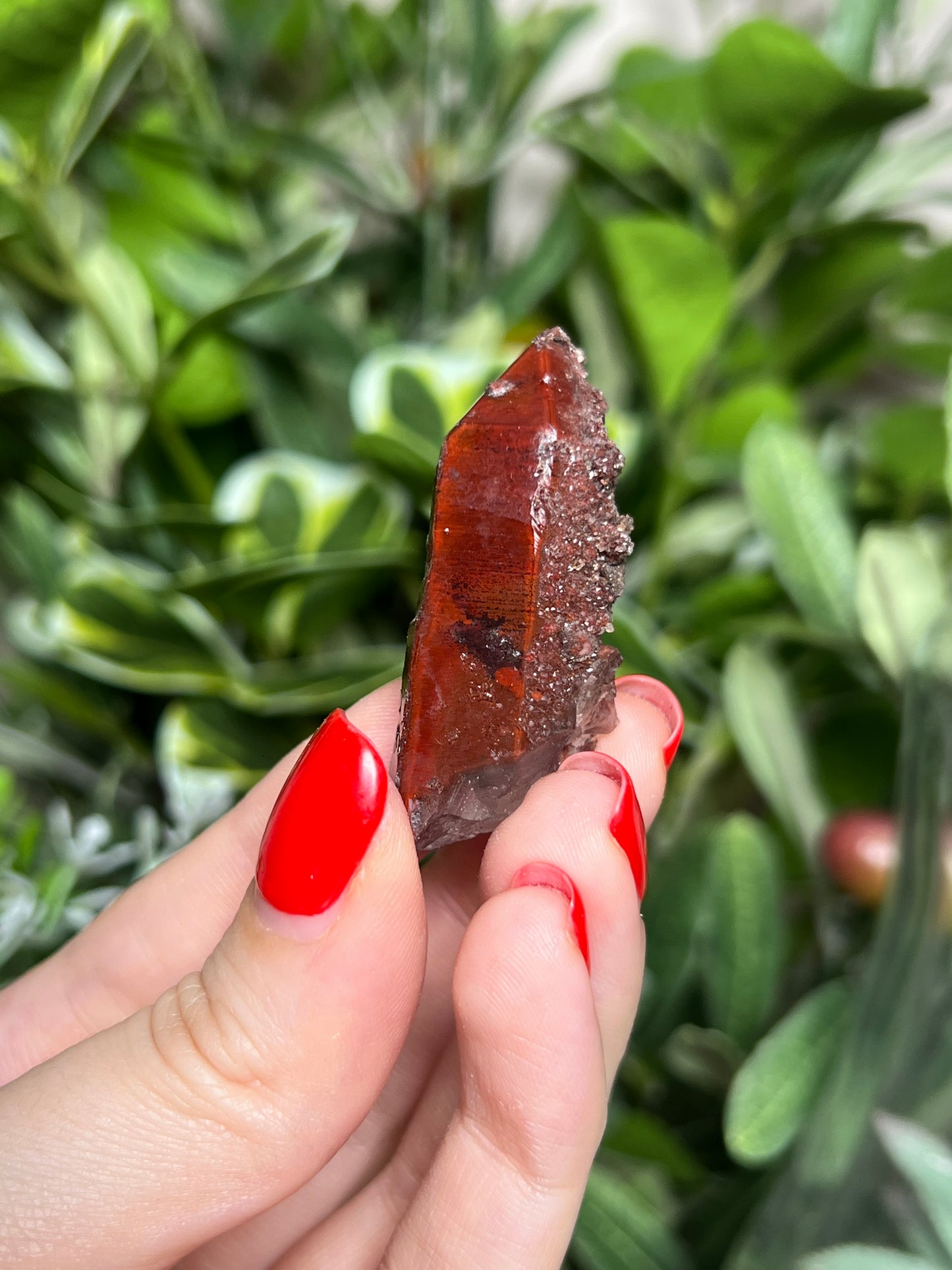 Vampy Quartz