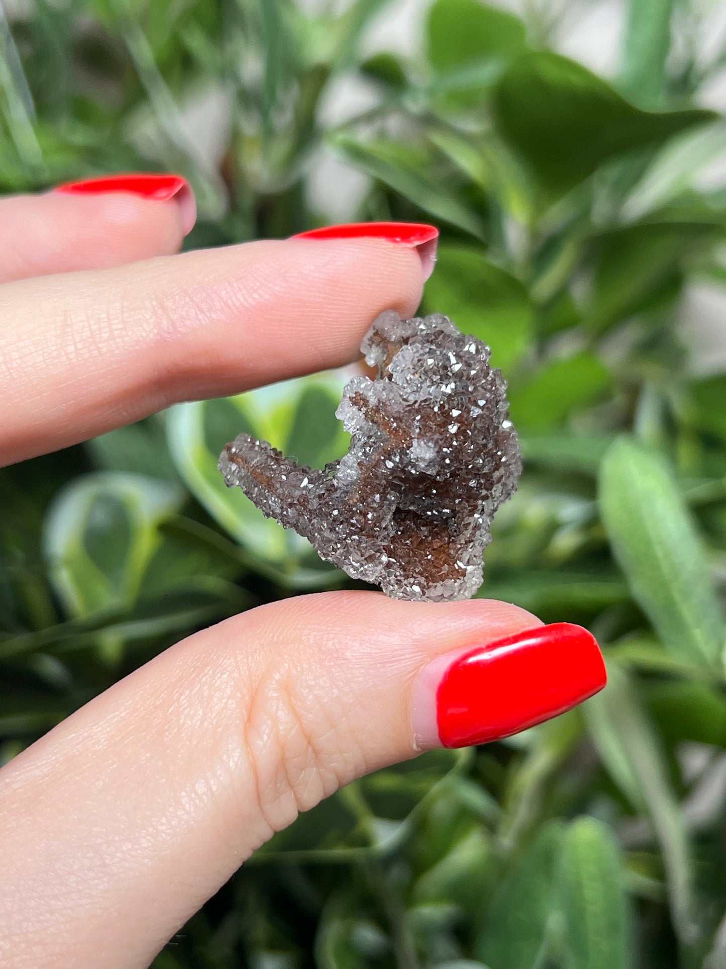 Quartz after Calcite Pseudomorph