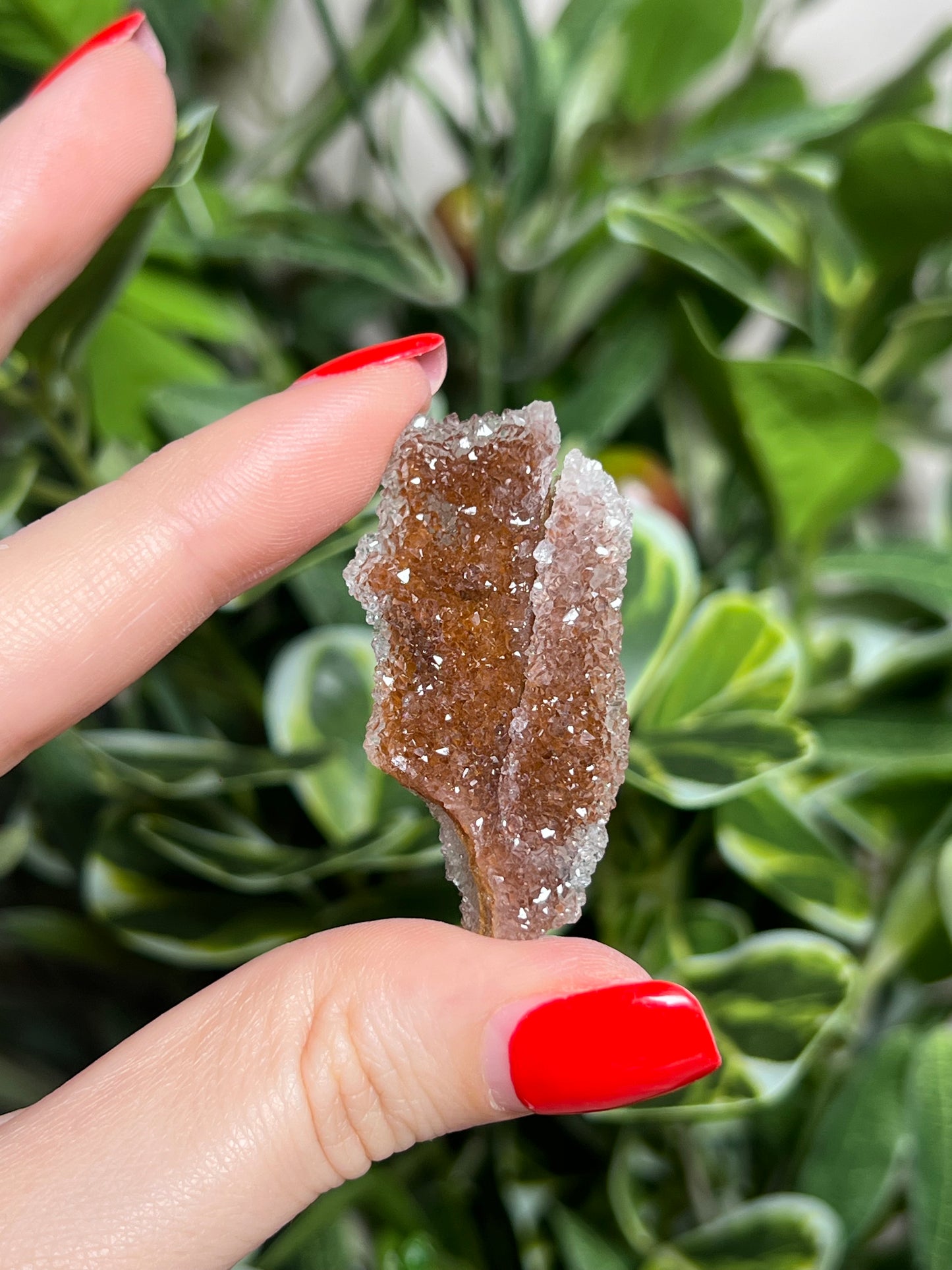 Quartz after Calcite Pseudomorph
